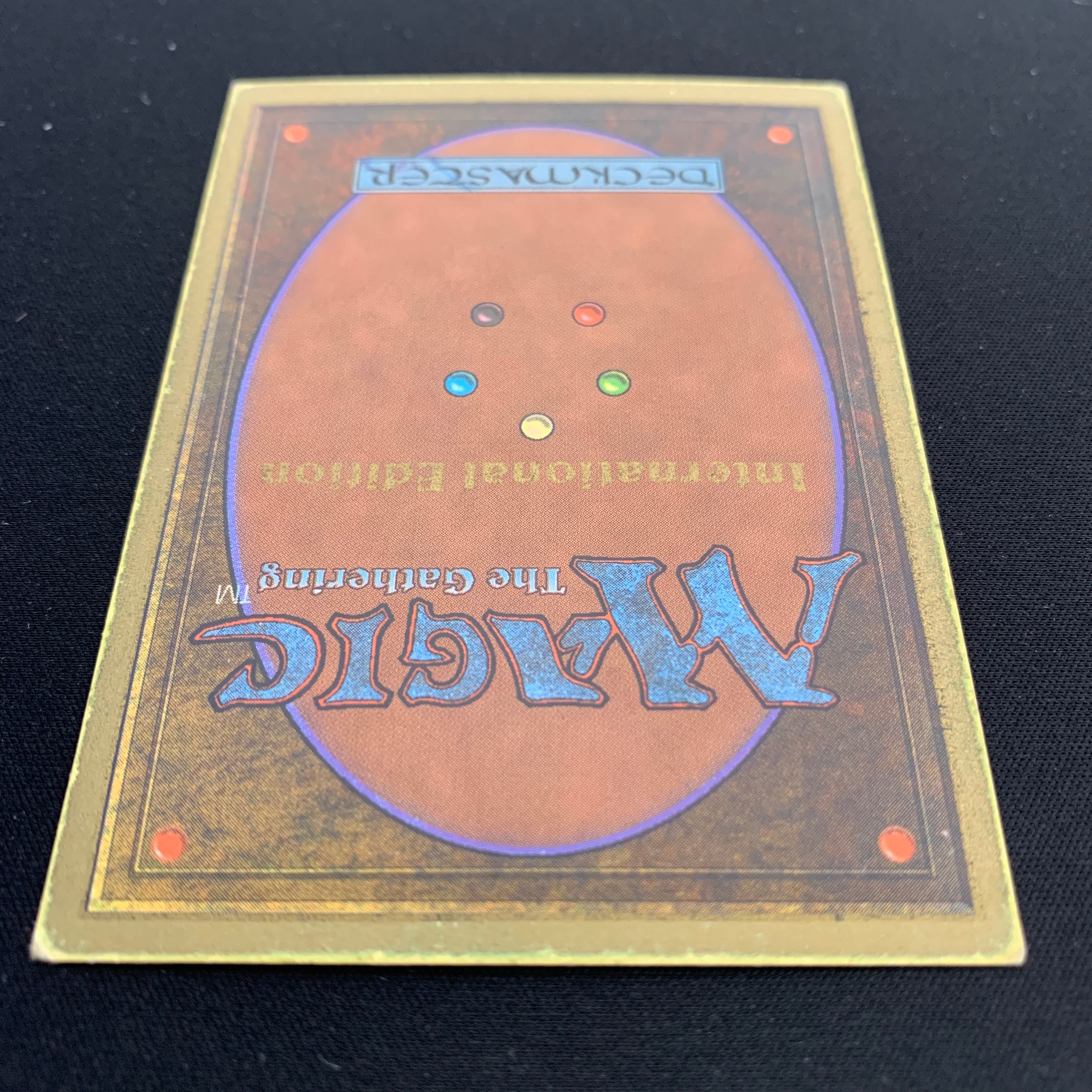 MTG Singles - Taiga - International Edition -