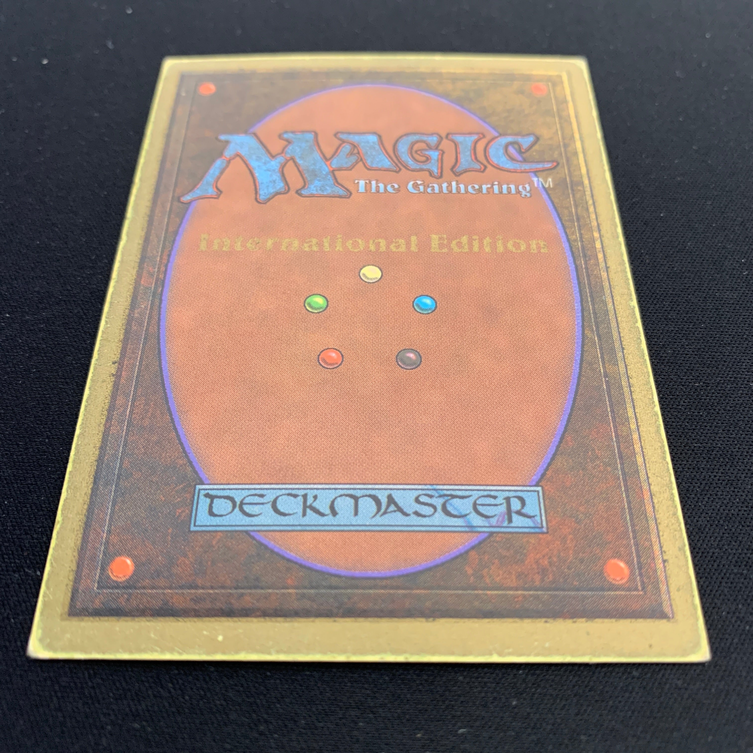 MTG Singles - Taiga - International Edition -