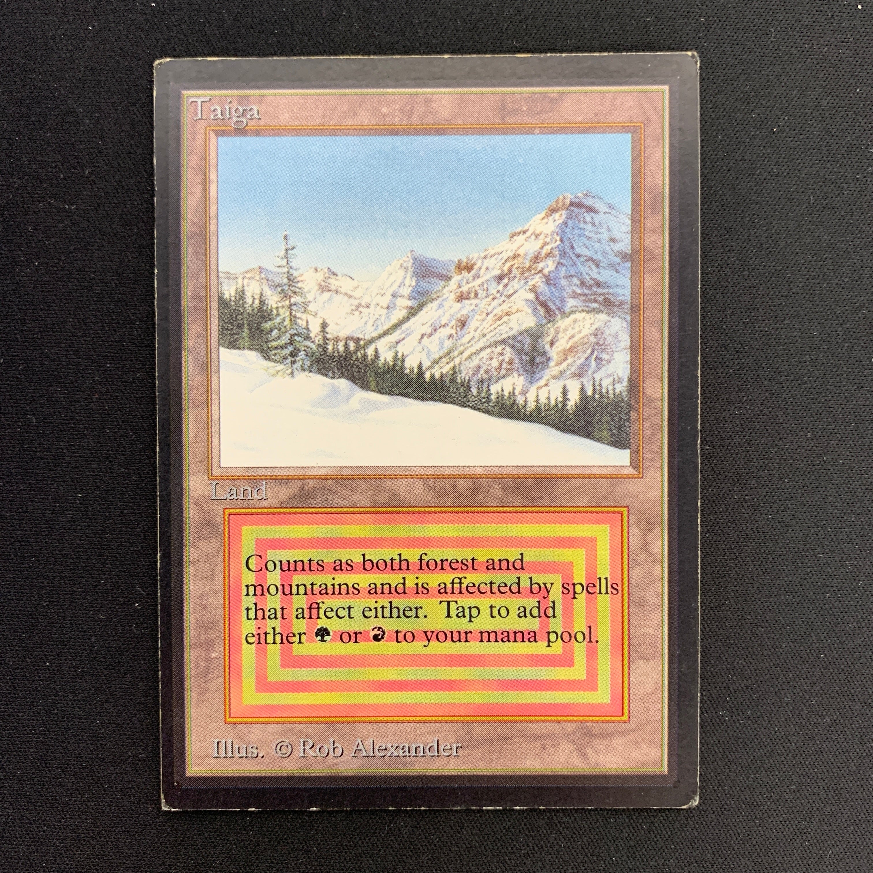 MTG Singles - Taiga - International Edition -