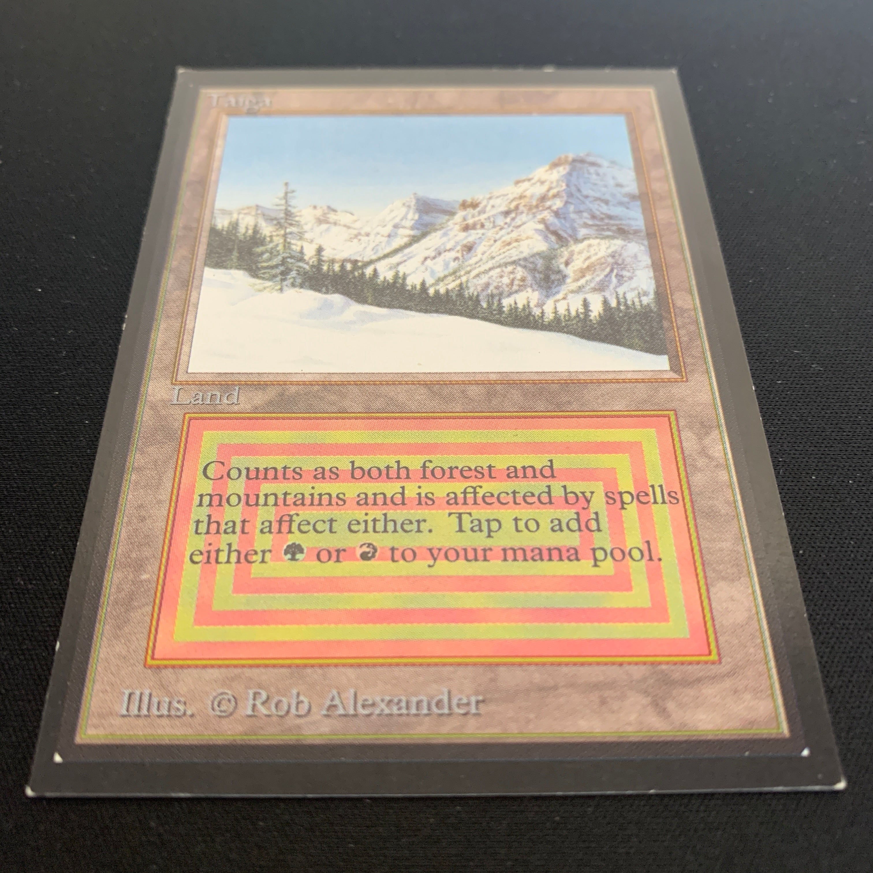 MTG Singles - Taiga - International Edition -