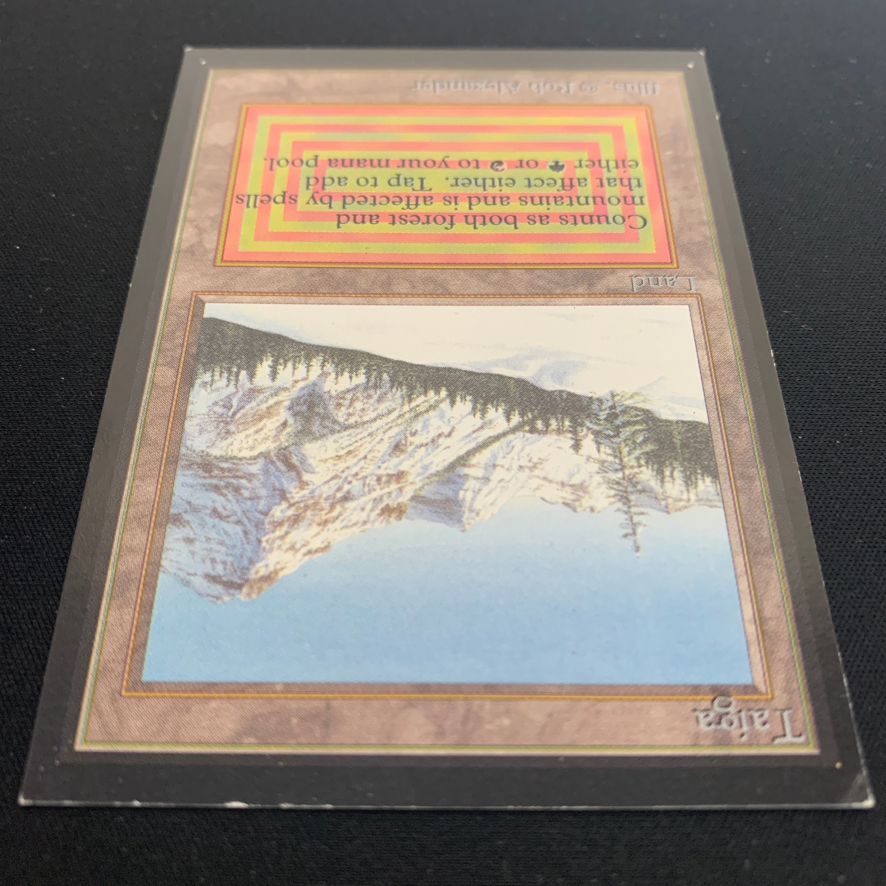 MTG Singles - Taiga - International Edition -