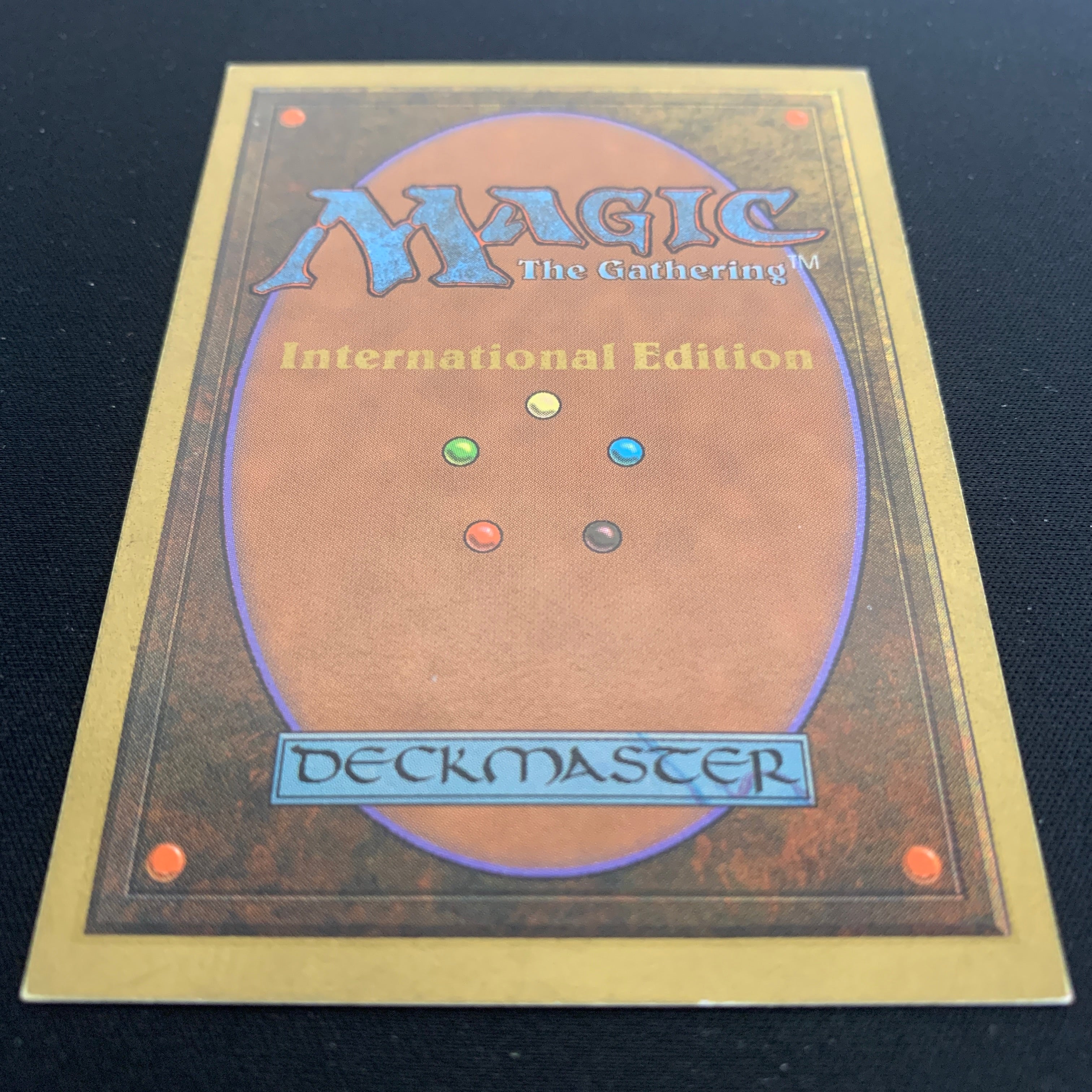 MTG Singles - Taiga - International Edition -