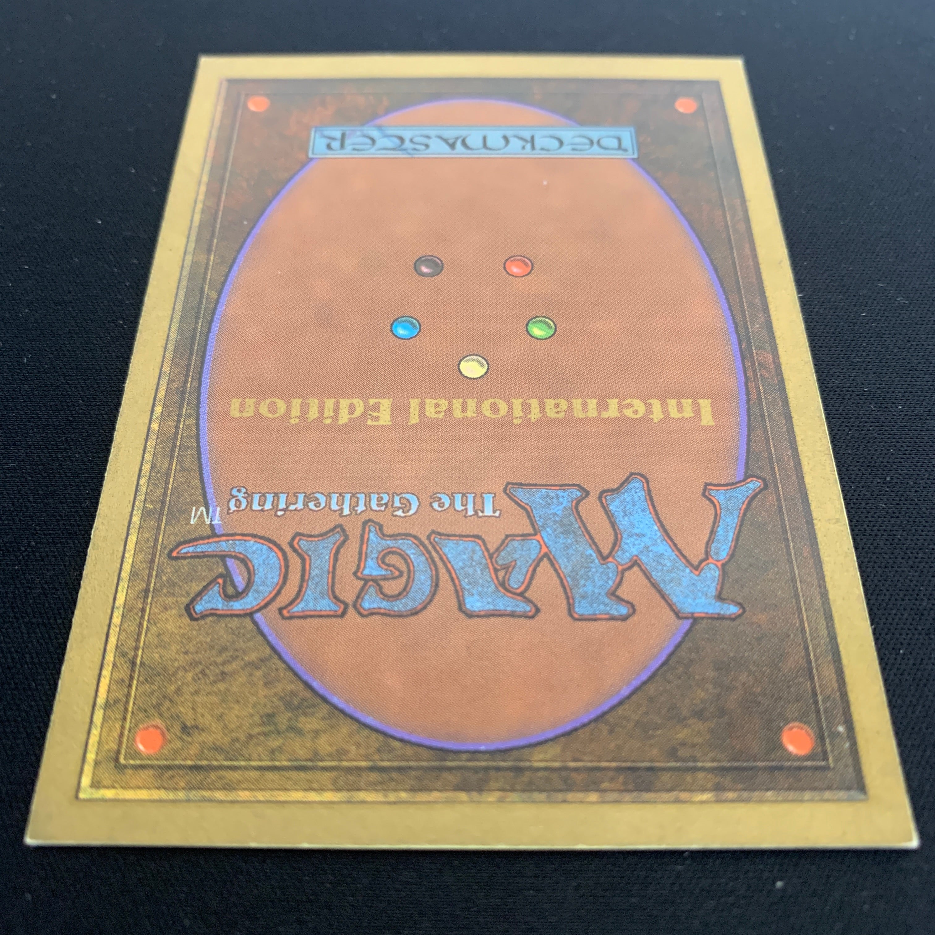 MTG Singles - Taiga - International Edition -