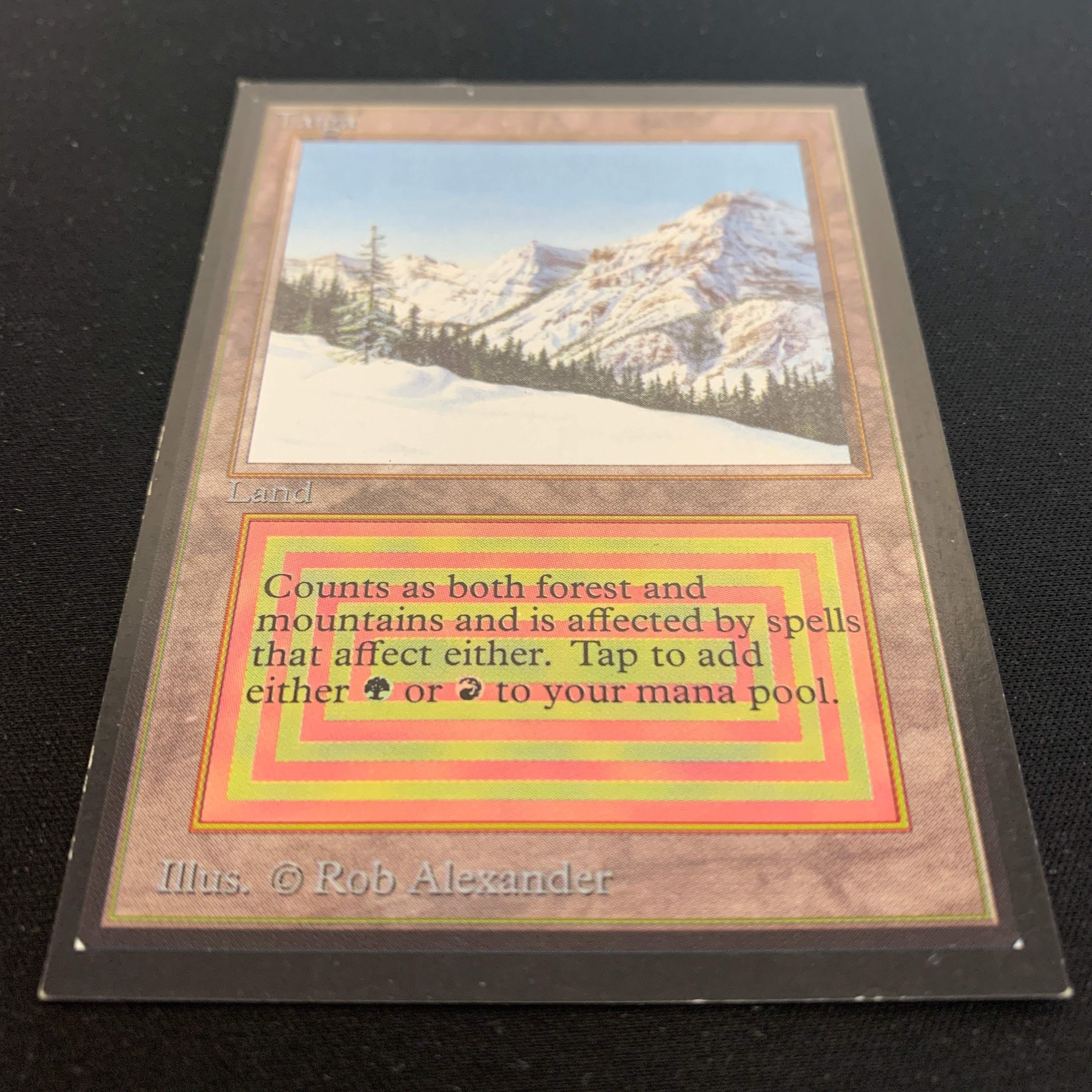 MTG Singles - Taiga - International Edition -