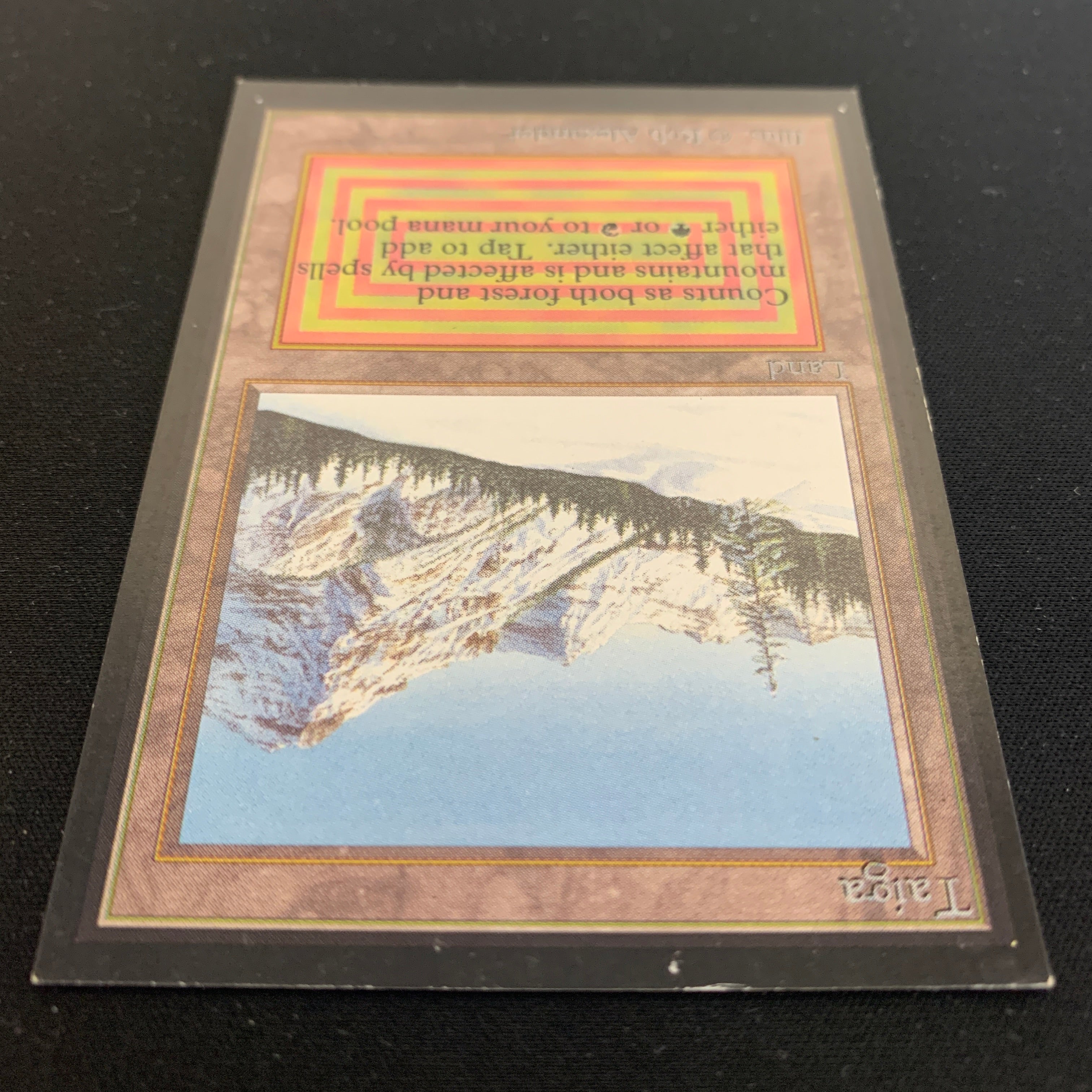 MTG Singles - Taiga - International Edition -