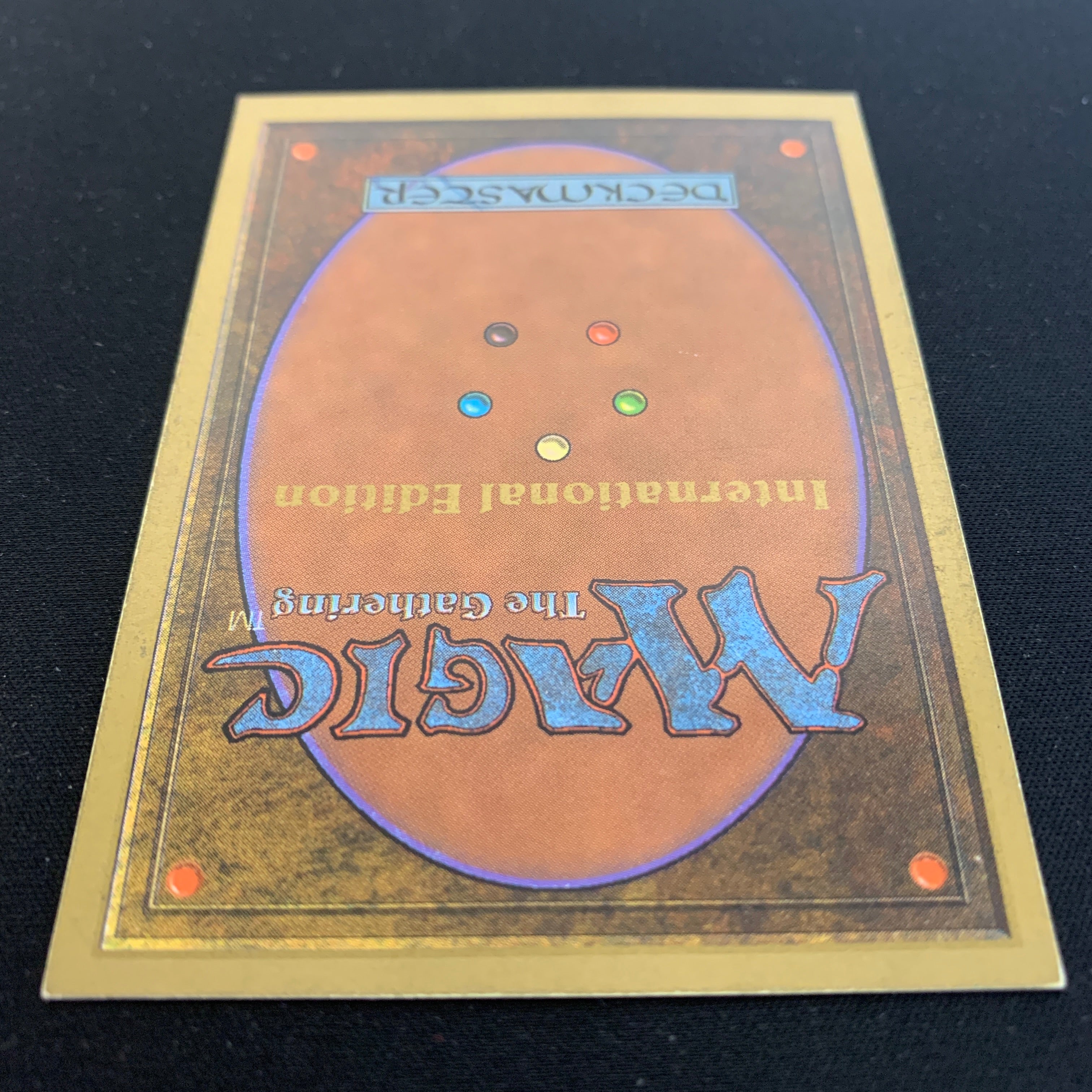 MTG Singles - Taiga - International Edition -