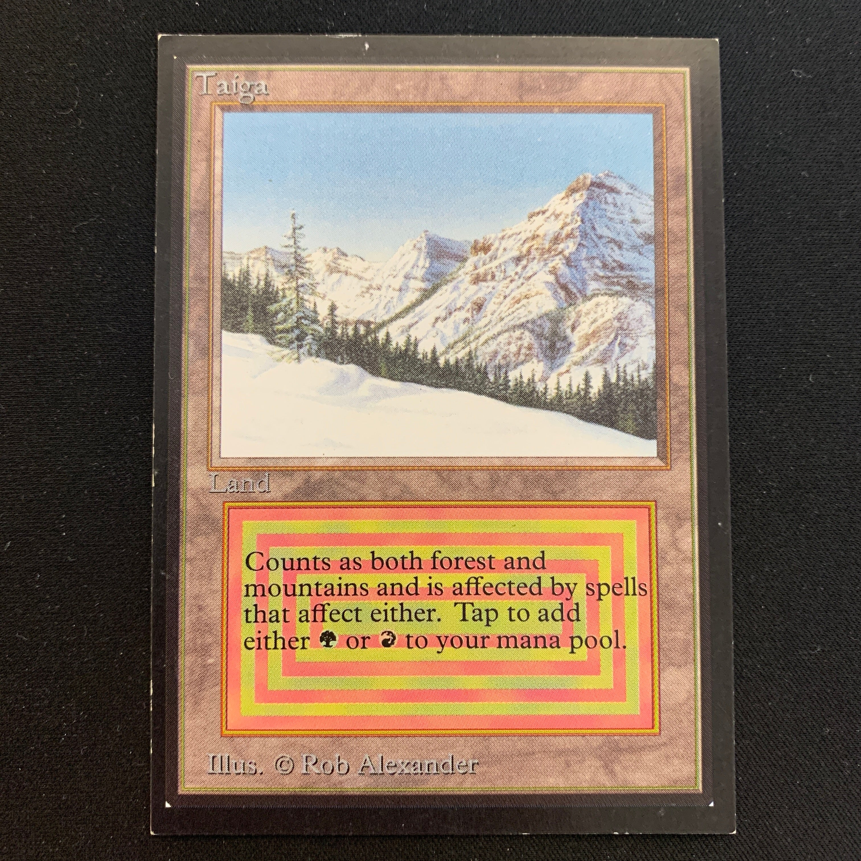 MTG Singles - Taiga - International Edition -