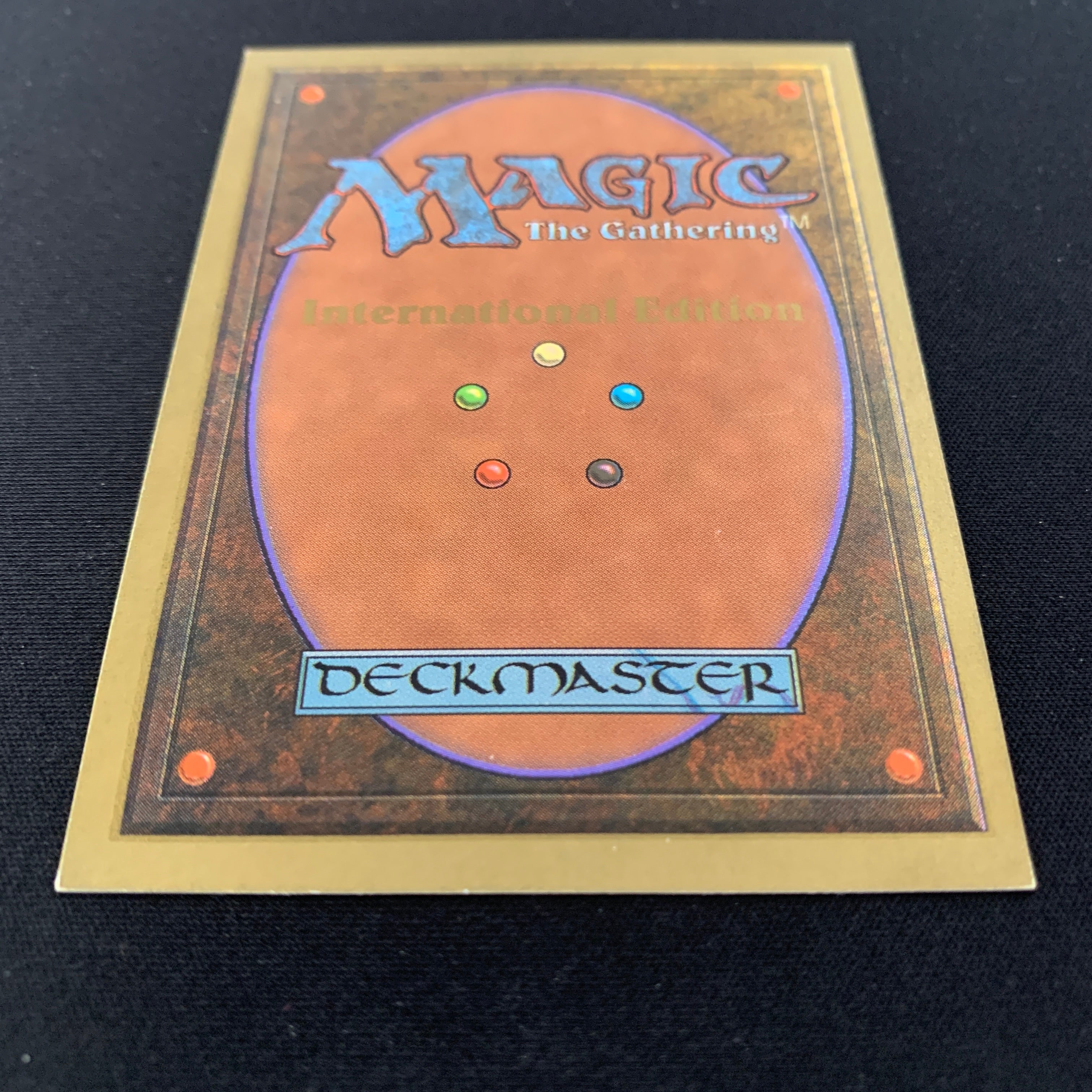 MTG Singles - Taiga - International Edition -
