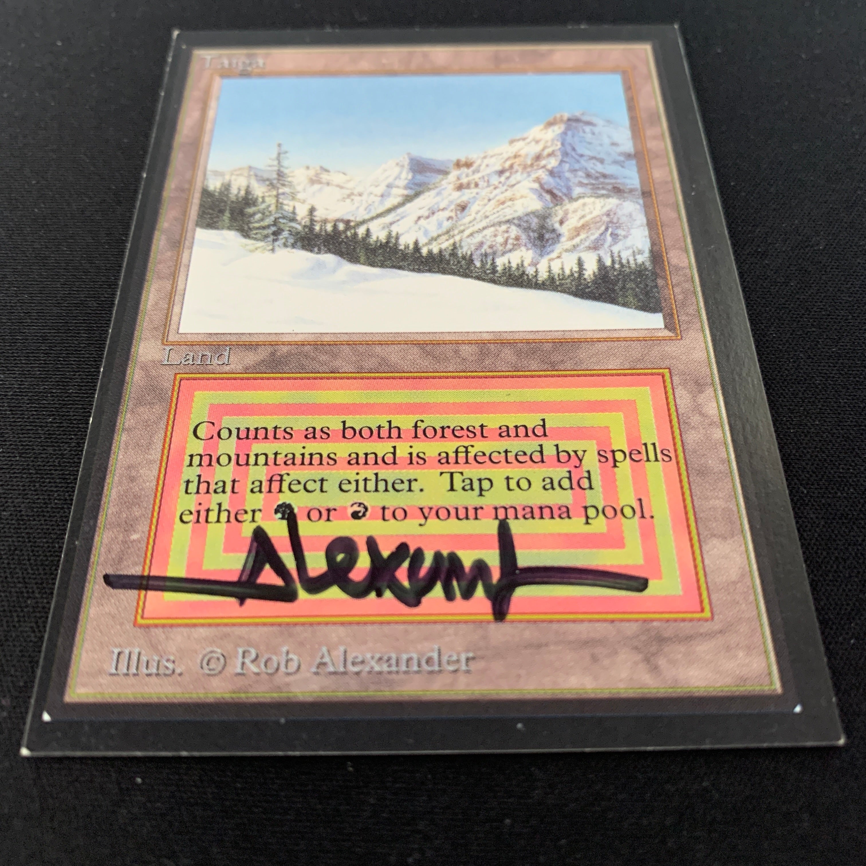 MTG Singles - Taiga - International Edition -