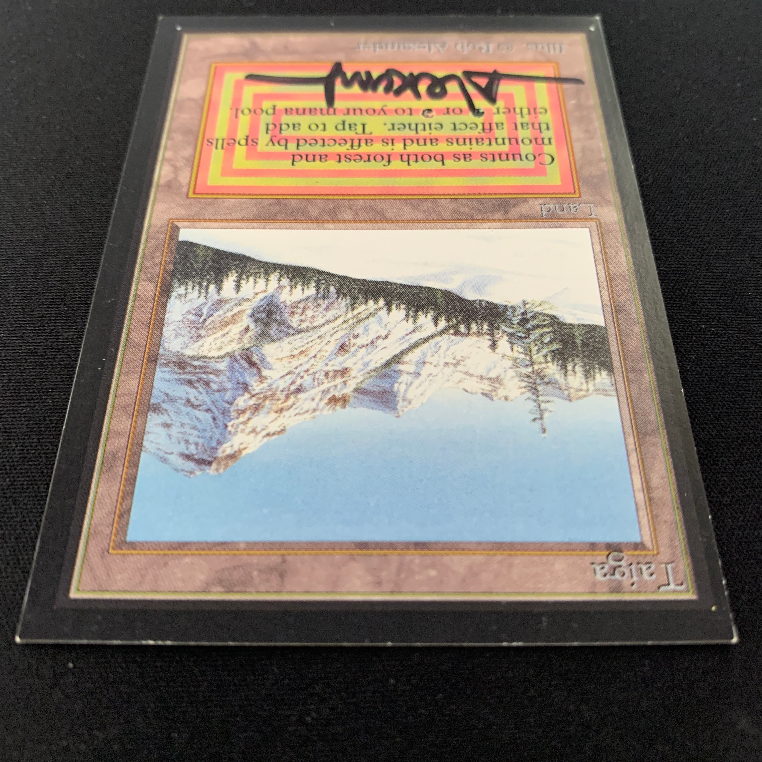 MTG Singles - Taiga - International Edition -