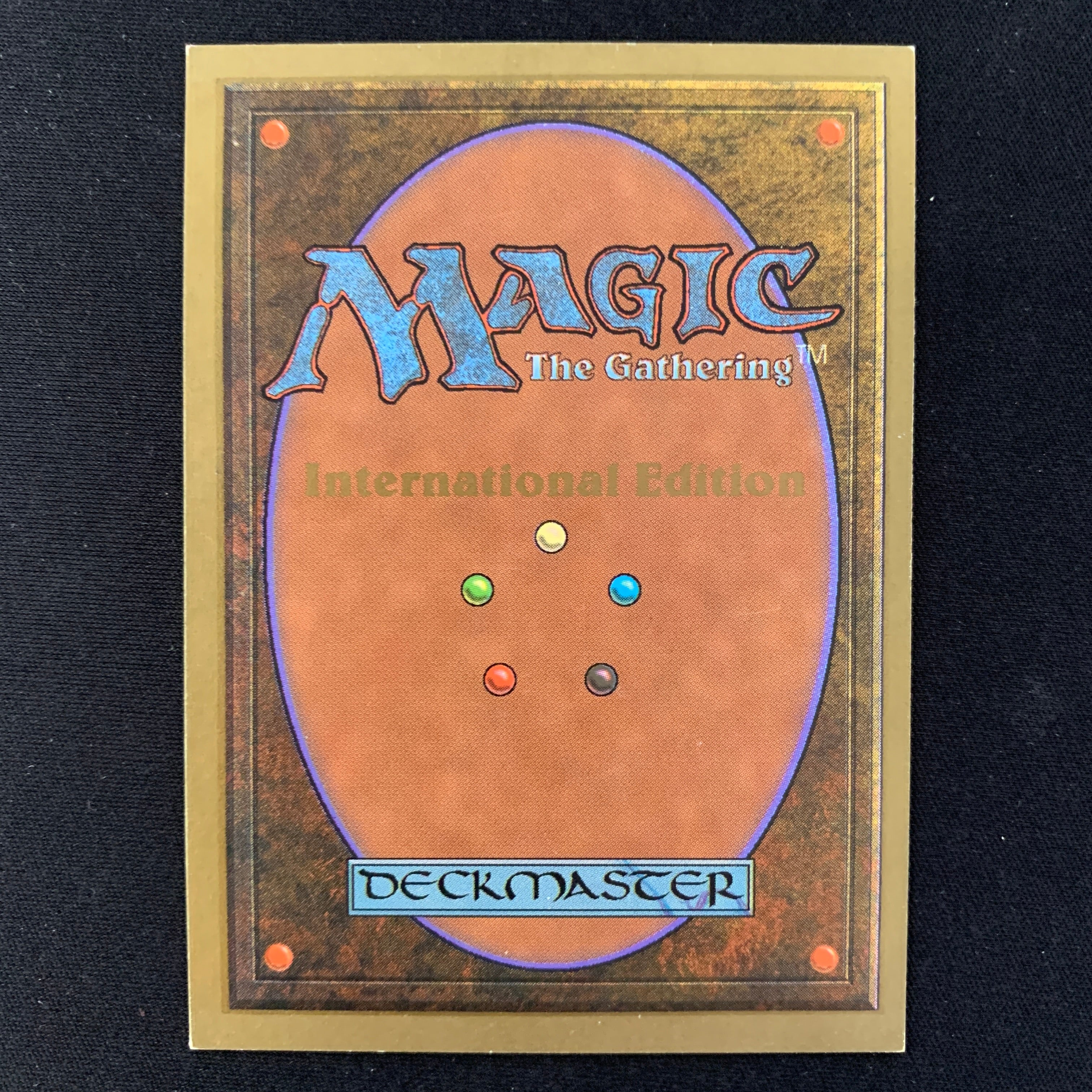 MTG Singles - Taiga - International Edition -