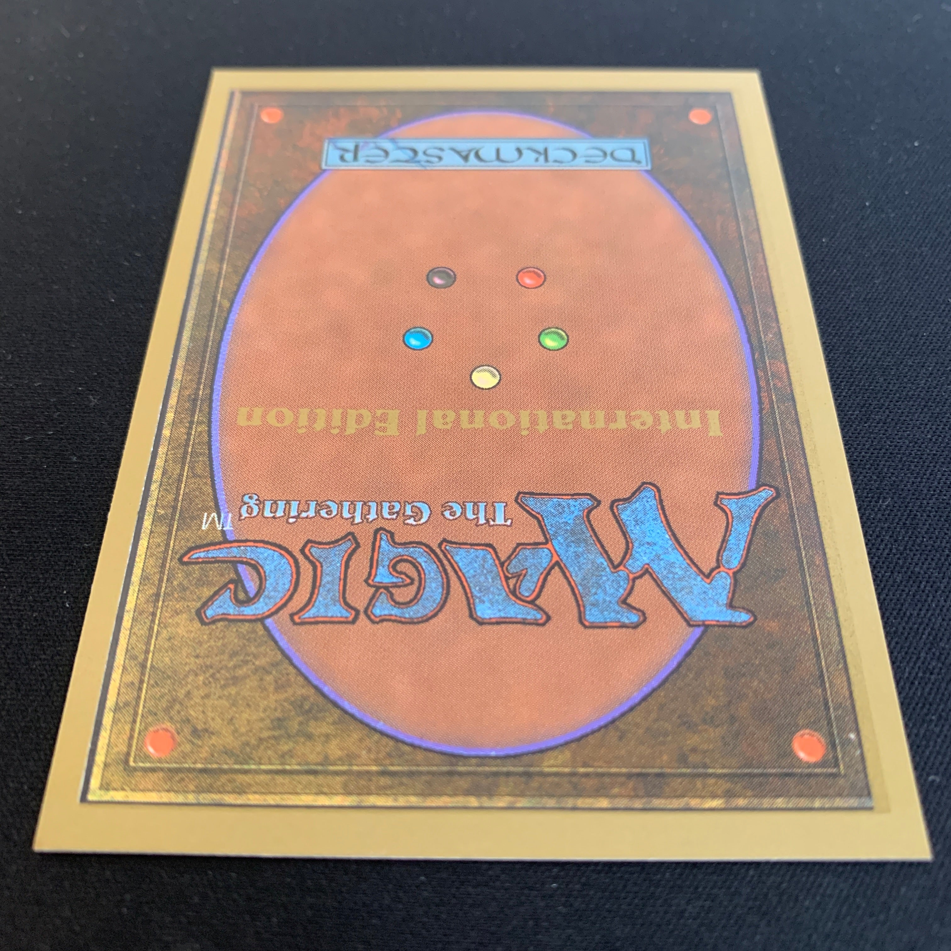 MTG Singles - Taiga - International Edition -