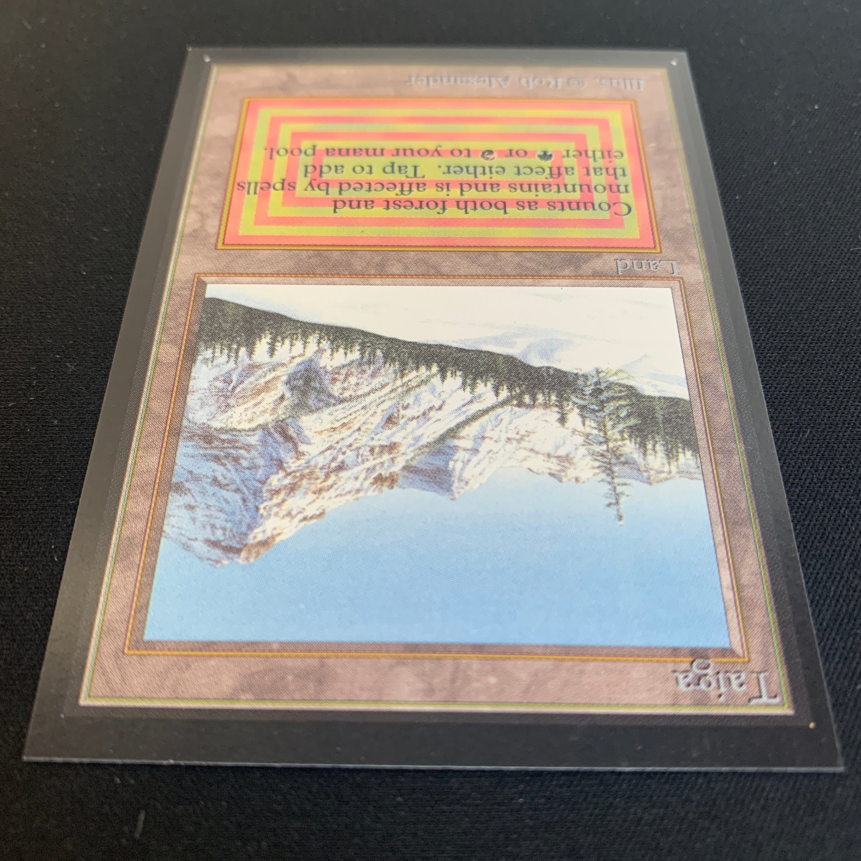 MTG Singles - Taiga - International Edition -