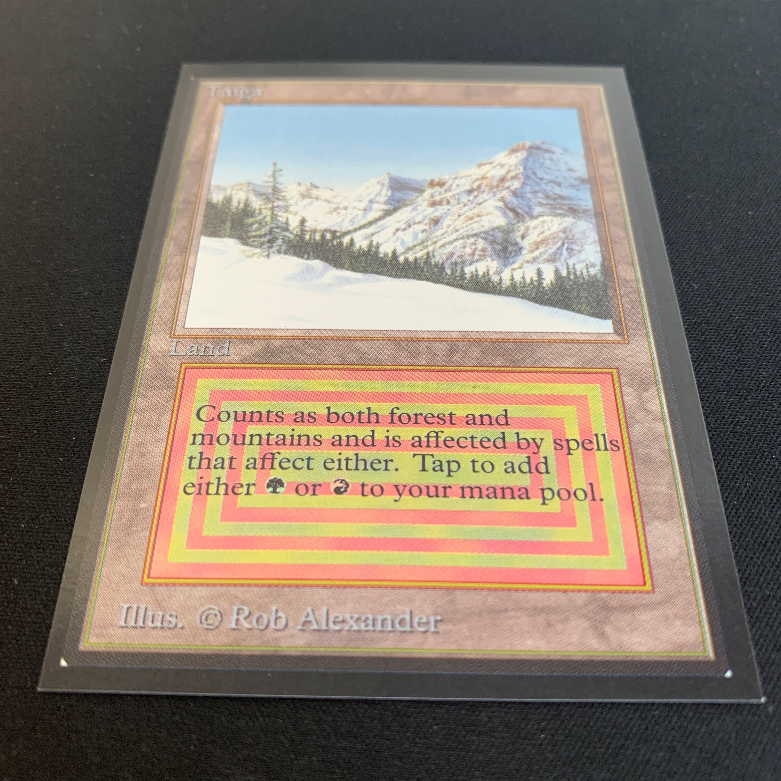 MTG Singles - Taiga - International Edition -