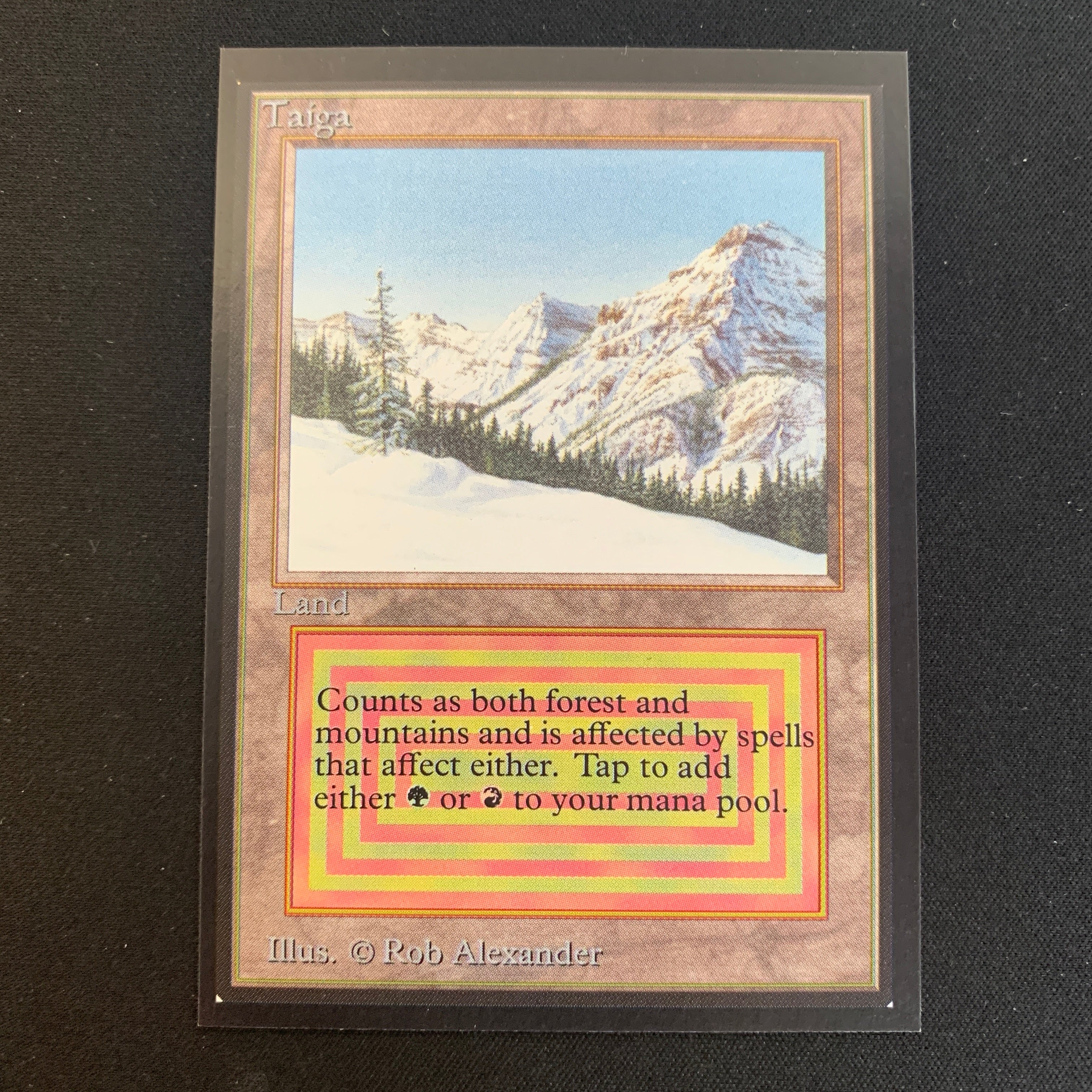 MTG Singles - Taiga - International Edition -