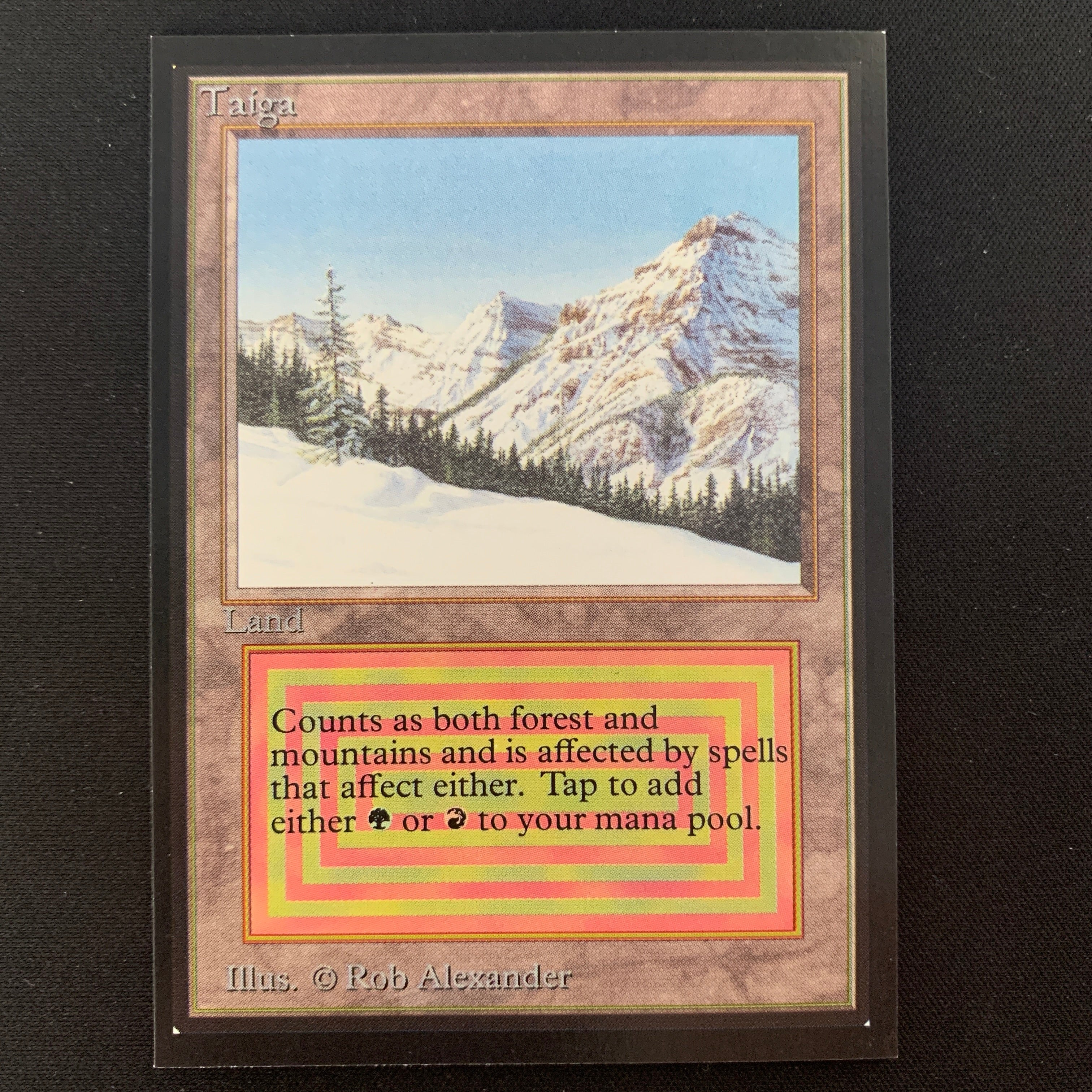 MTG Singles - Taiga - International Edition -