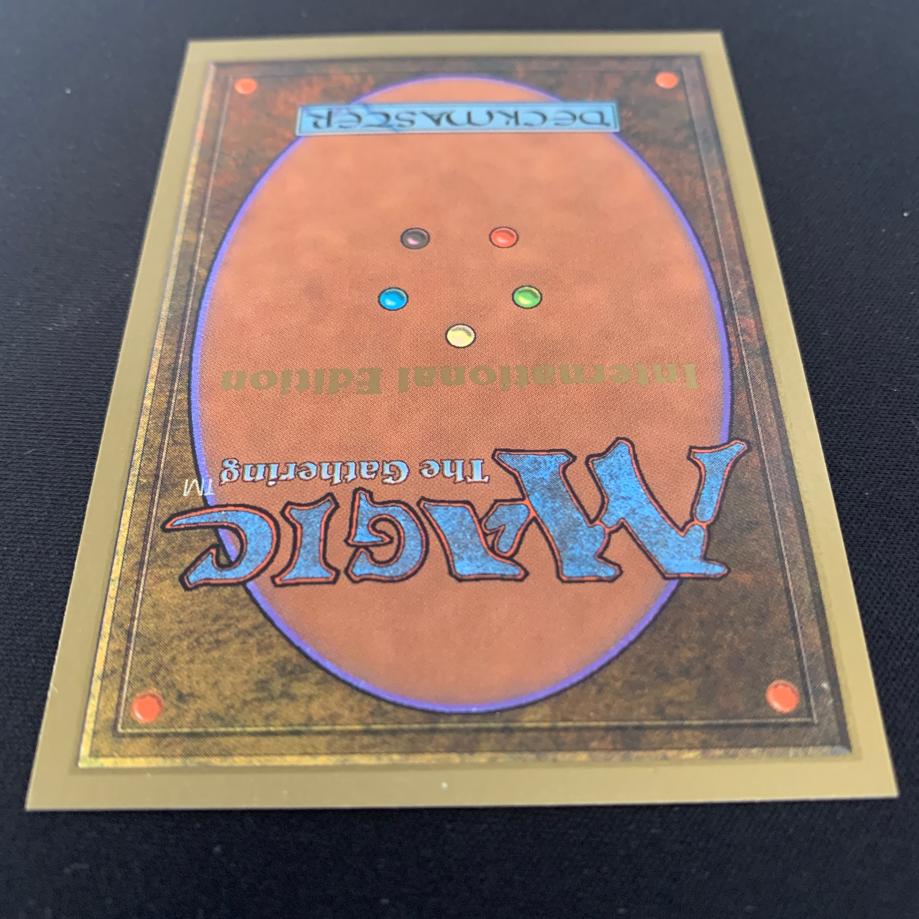 MTG Singles - Taiga - International Edition -