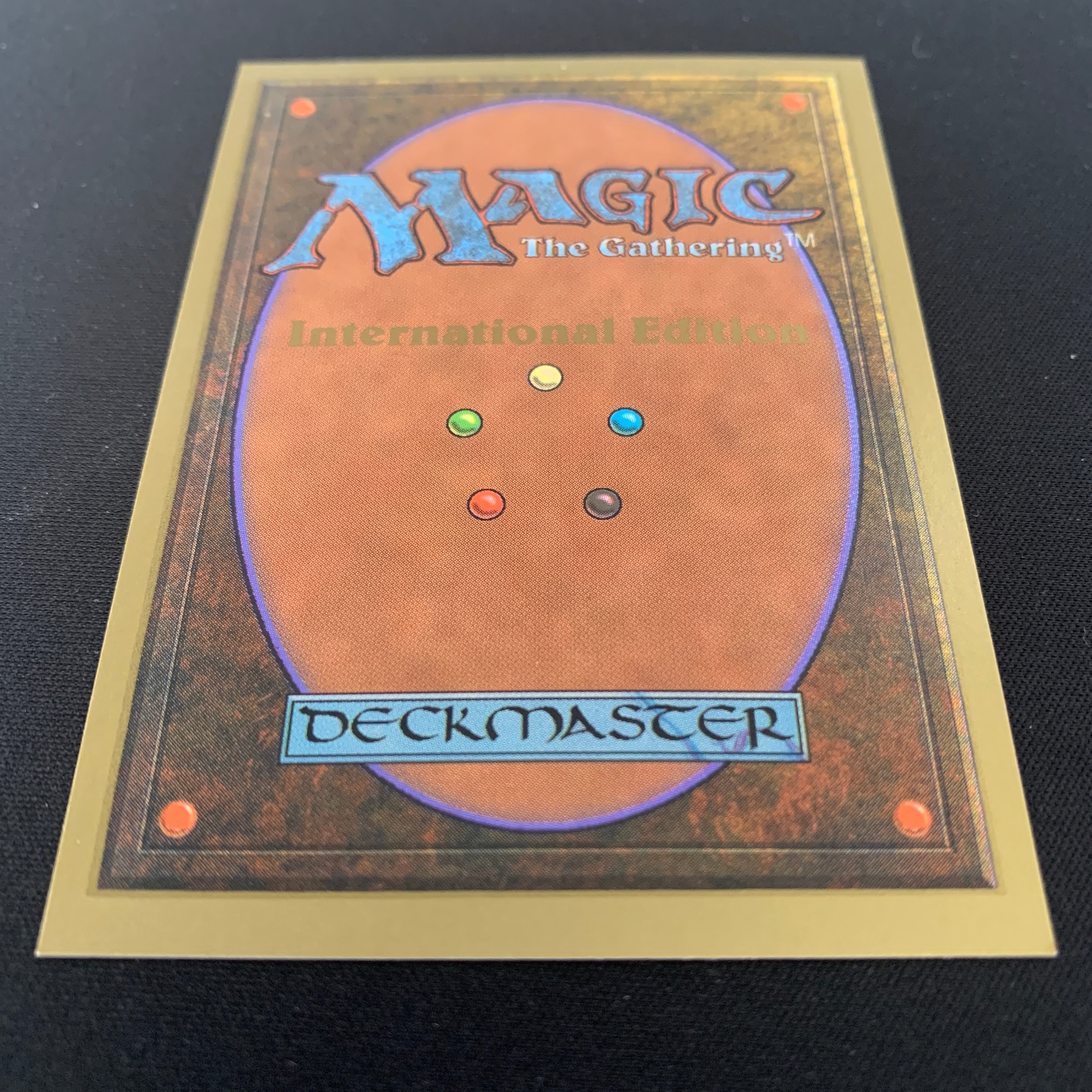 MTG Singles - Taiga - International Edition -