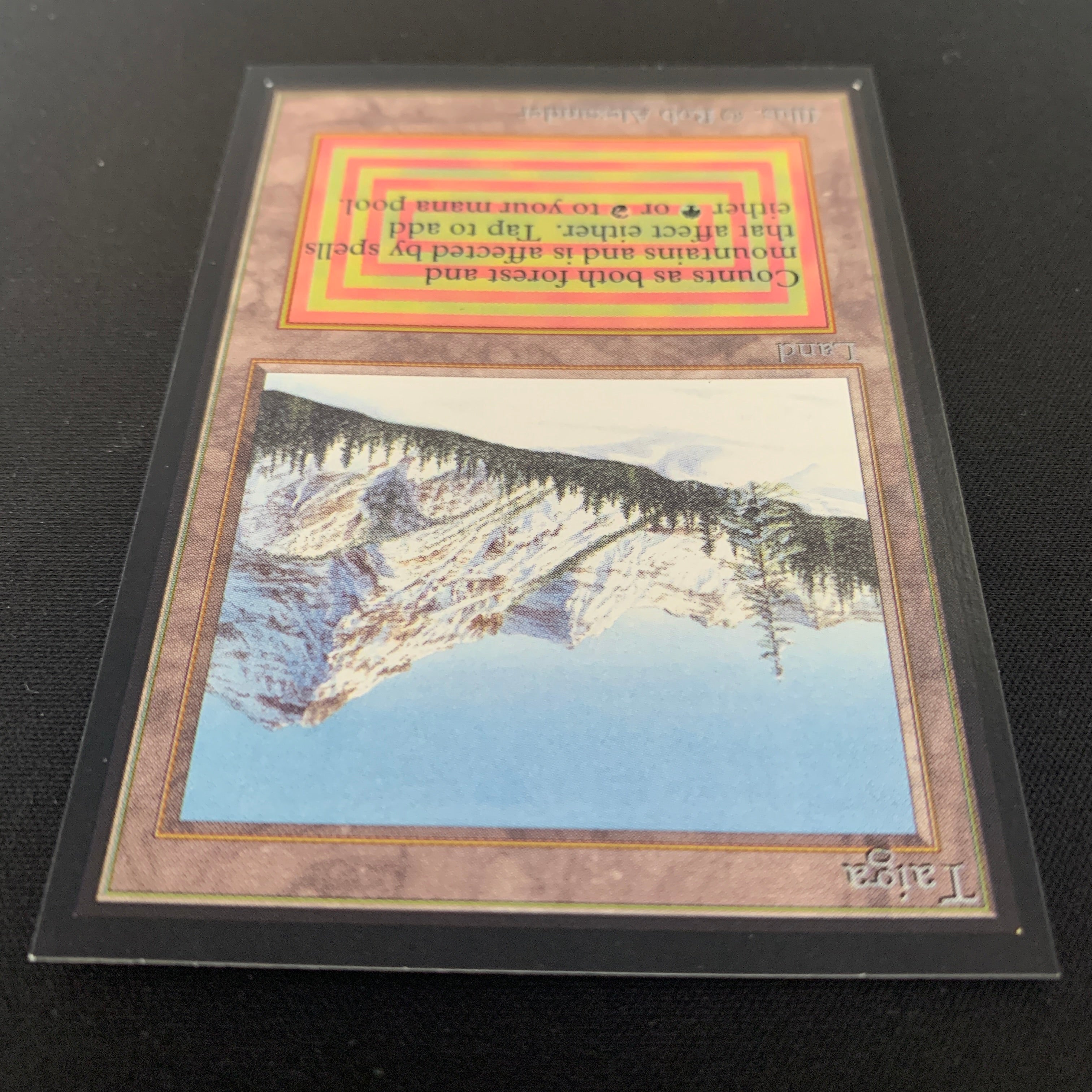 MTG Singles - Taiga - International Edition -