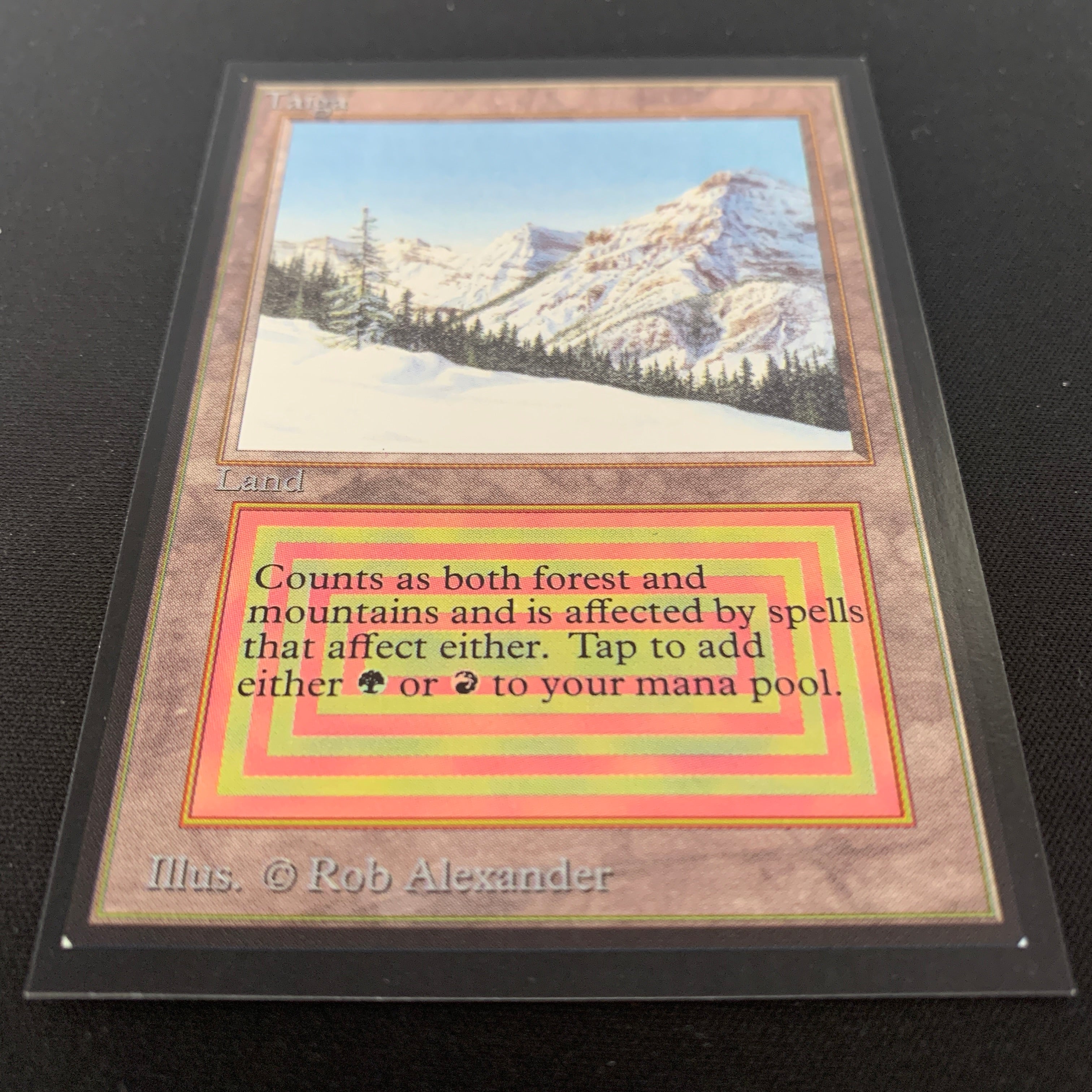 MTG Singles - Taiga - International Edition -
