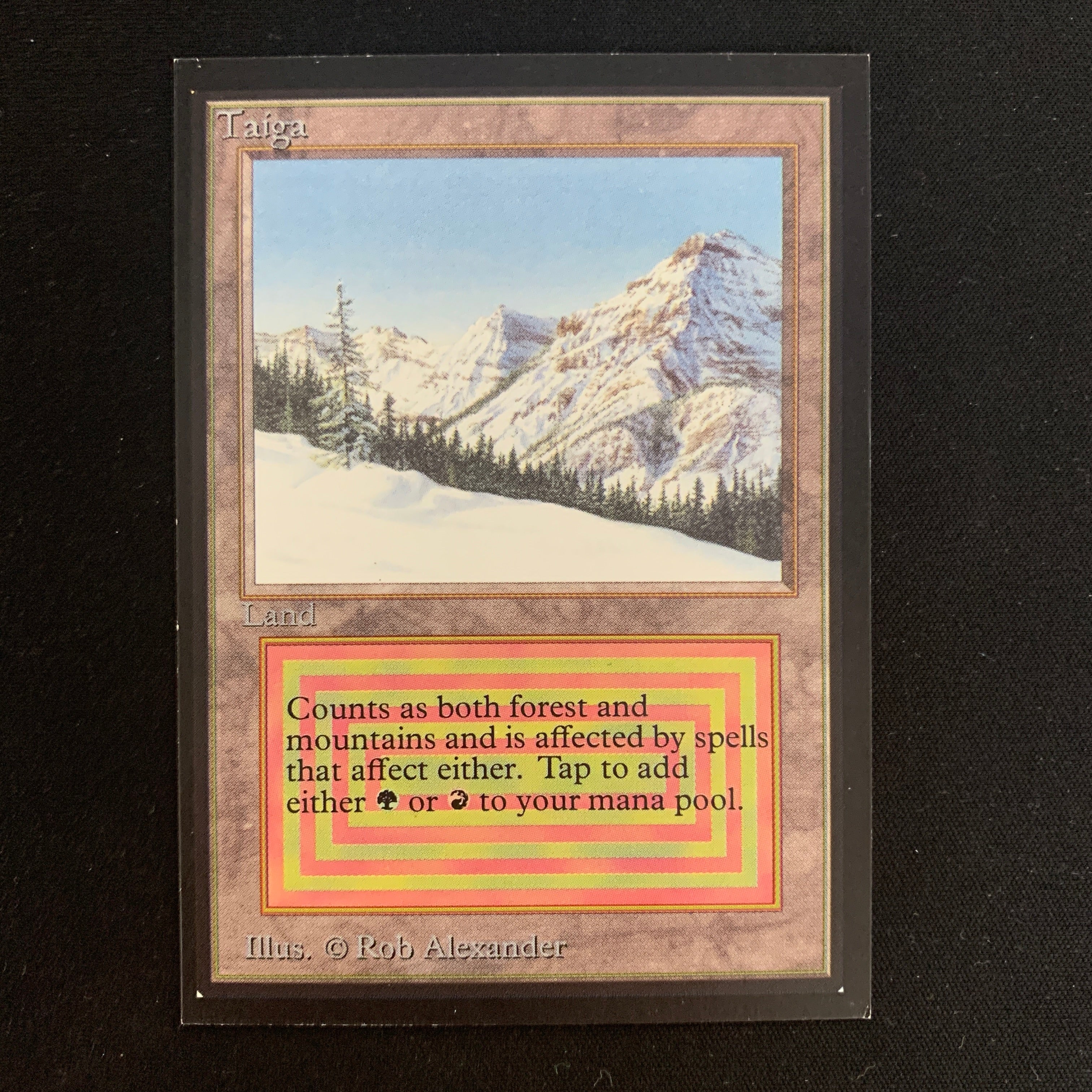MTG Singles - Taiga - International Edition -