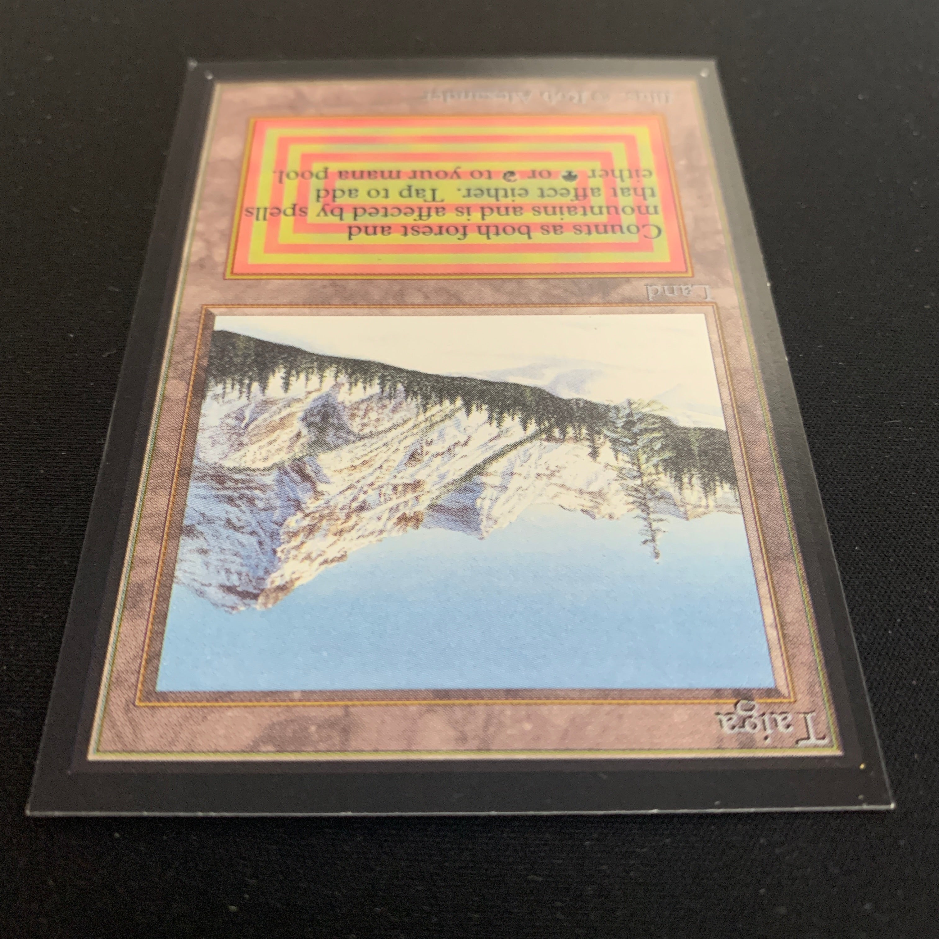 MTG Singles - Taiga - International Edition -