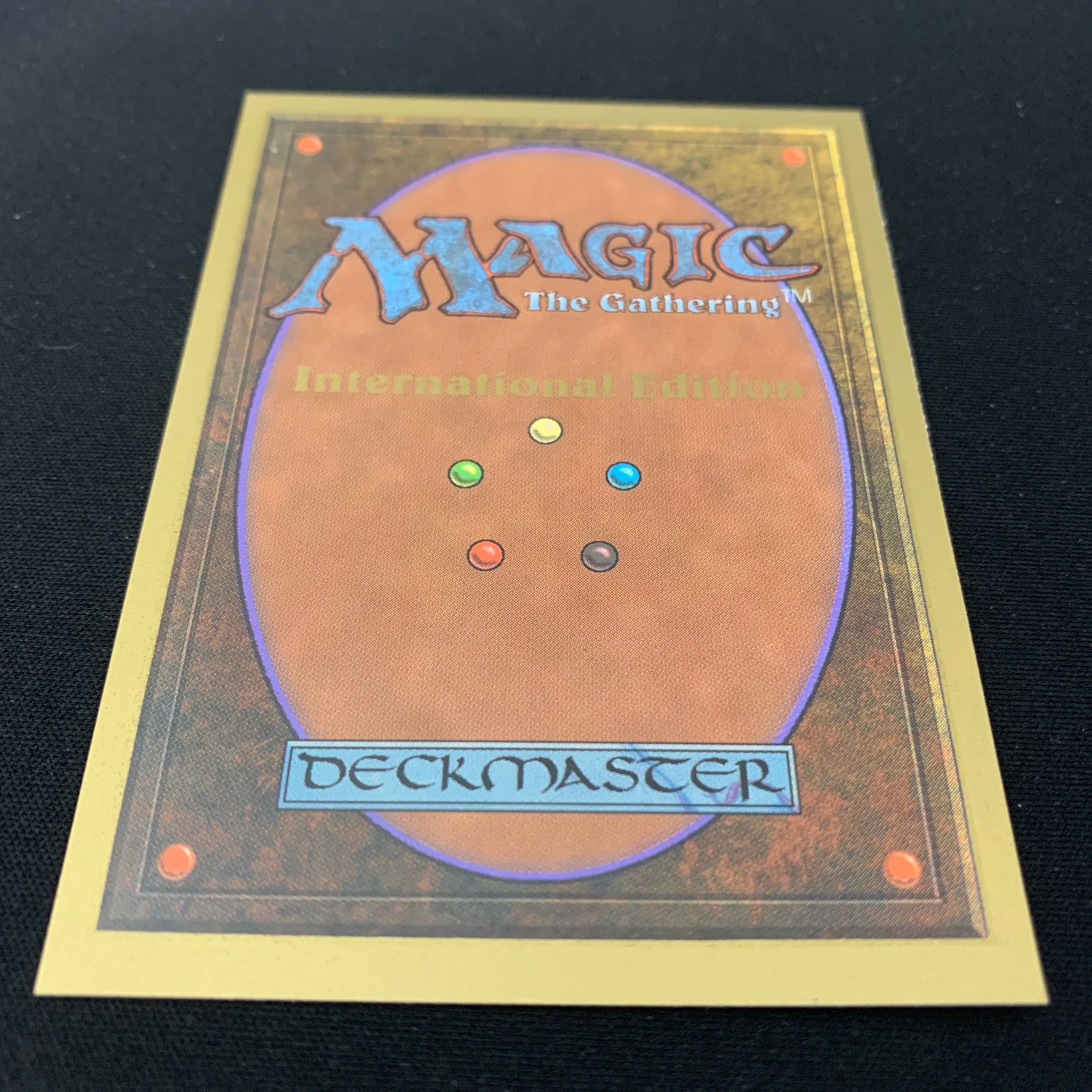 MTG Singles - Taiga - International Edition -