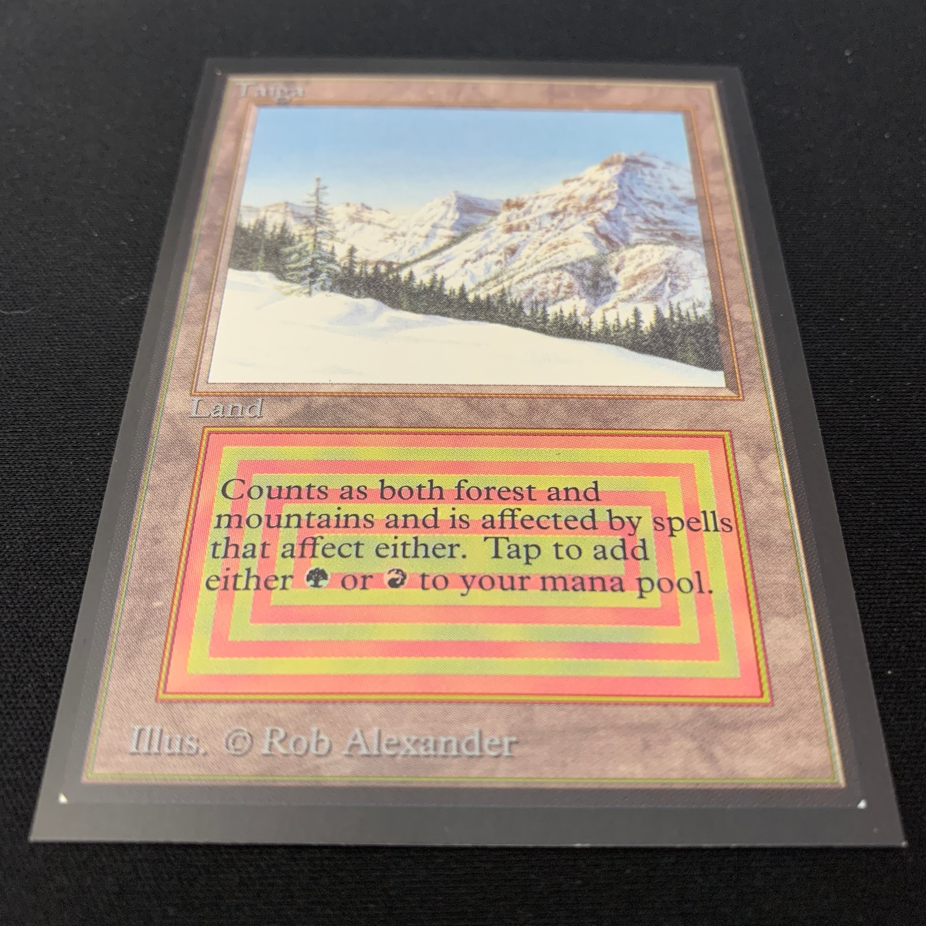 MTG Singles - Taiga - International Edition -