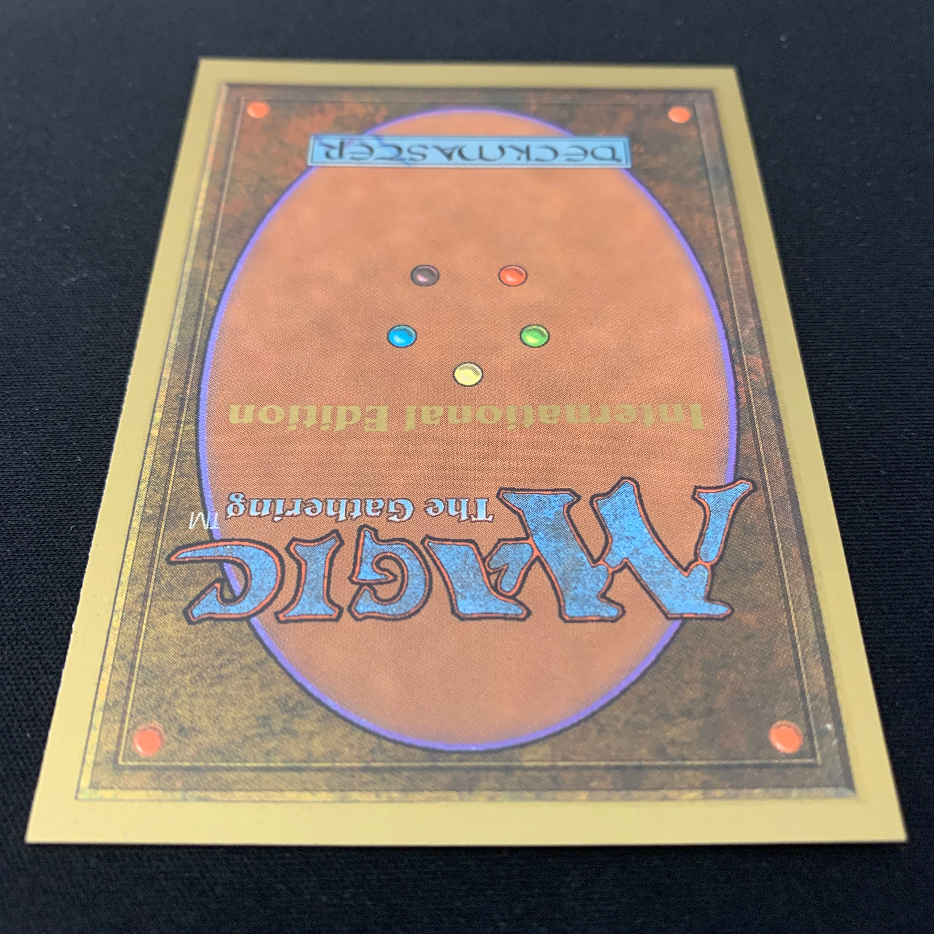 MTG Singles - Taiga - International Edition -