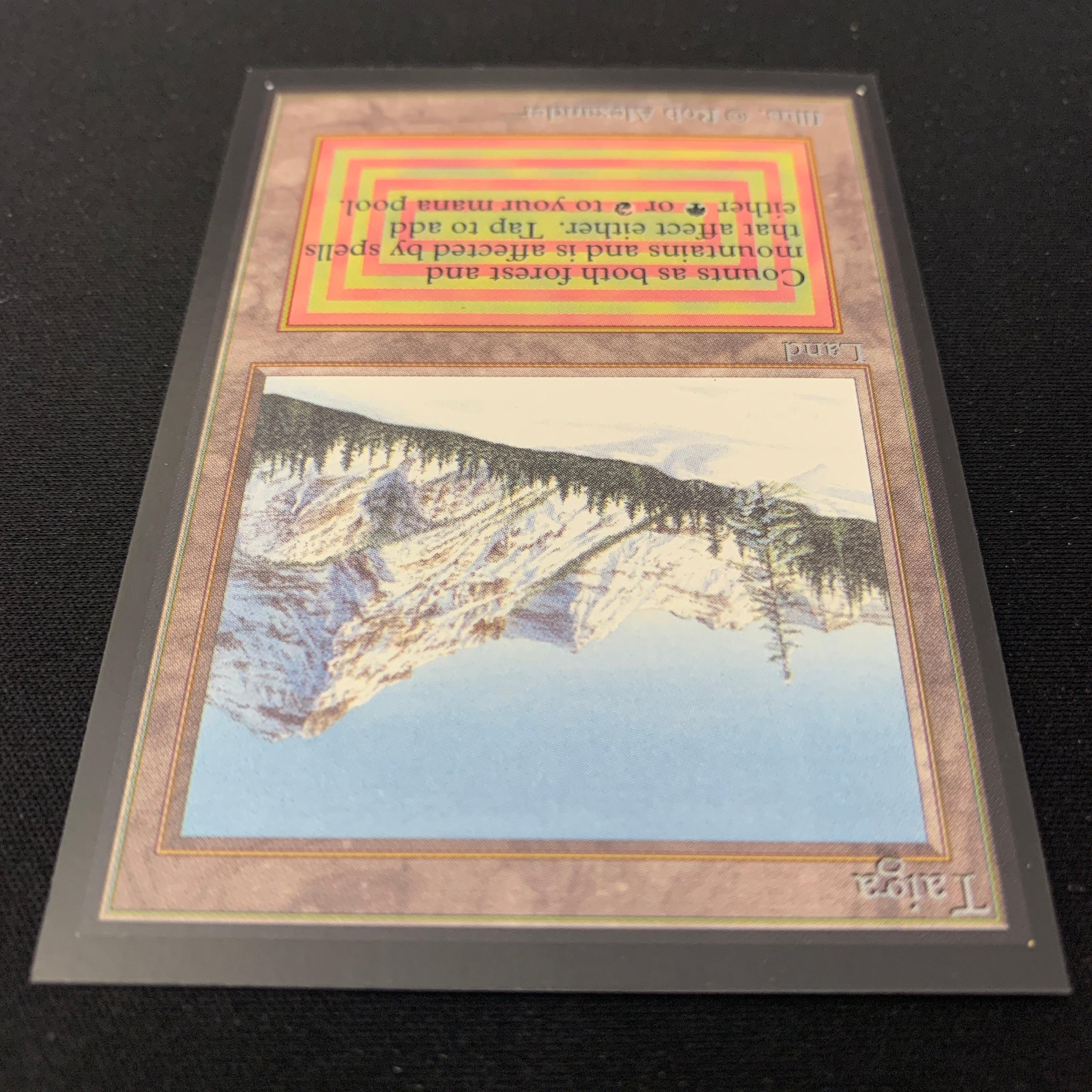 MTG Singles - Taiga - International Edition -