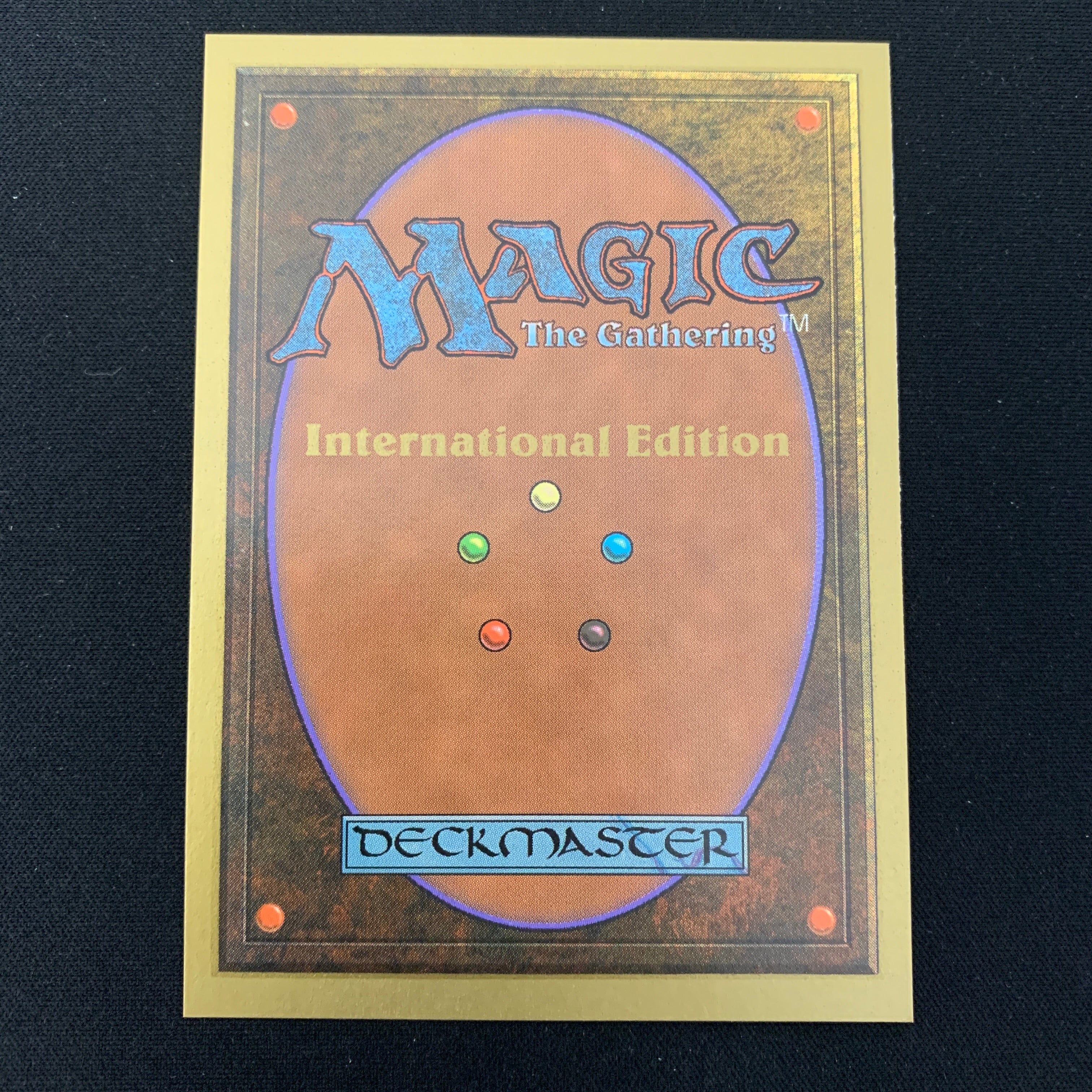 MTG Singles - Taiga - International Edition -