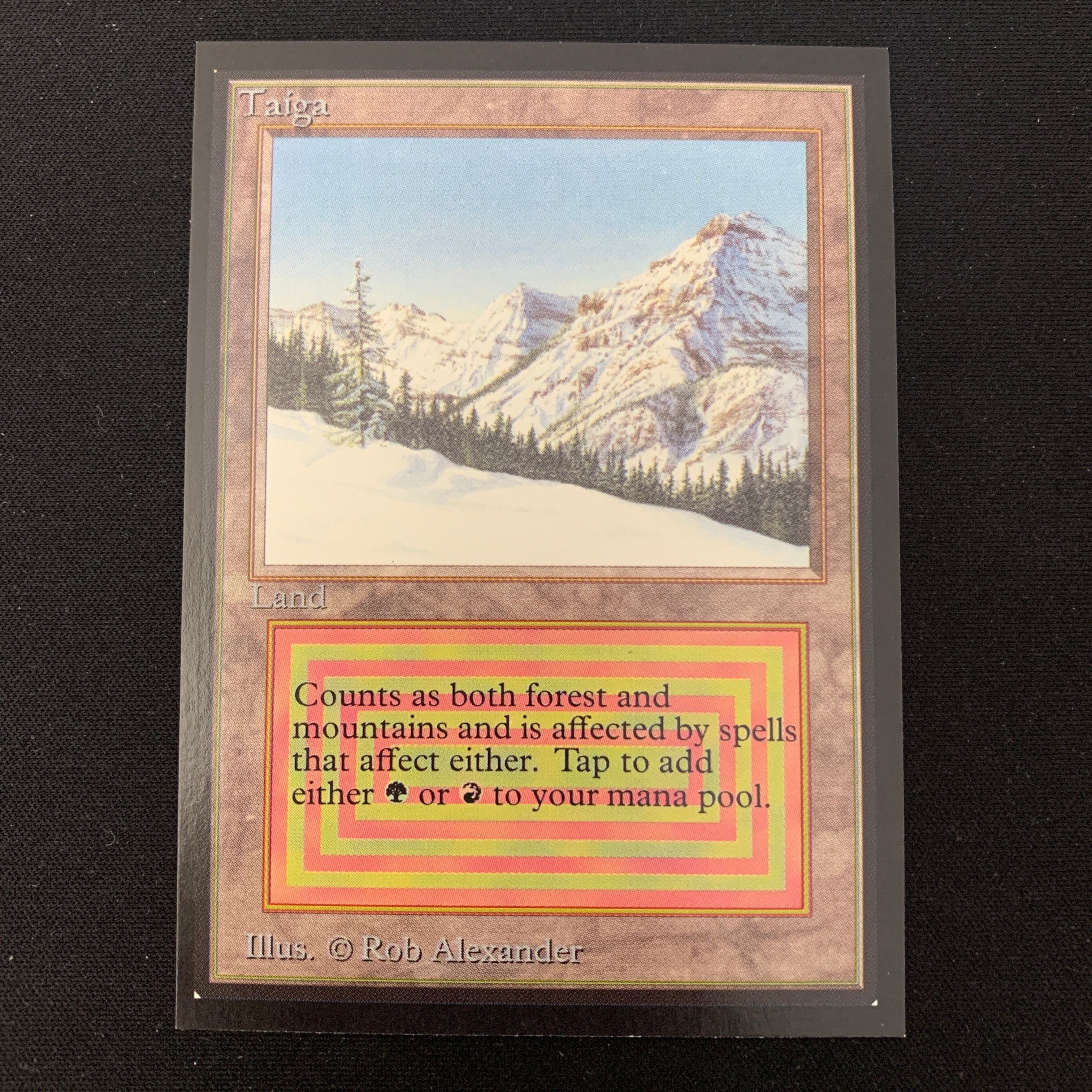 MTG Singles - Taiga - International Edition -