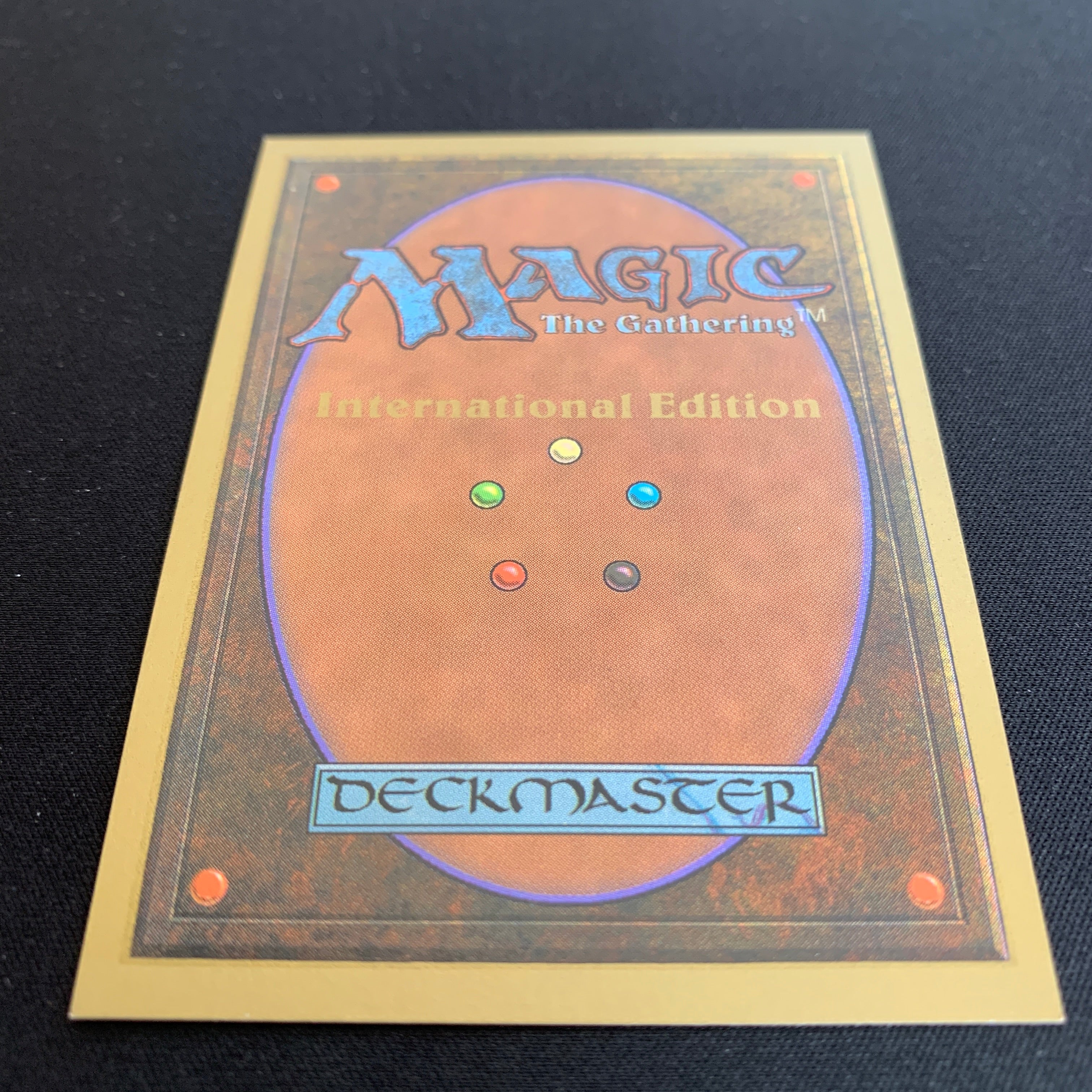 MTG Singles - Taiga - International Edition -