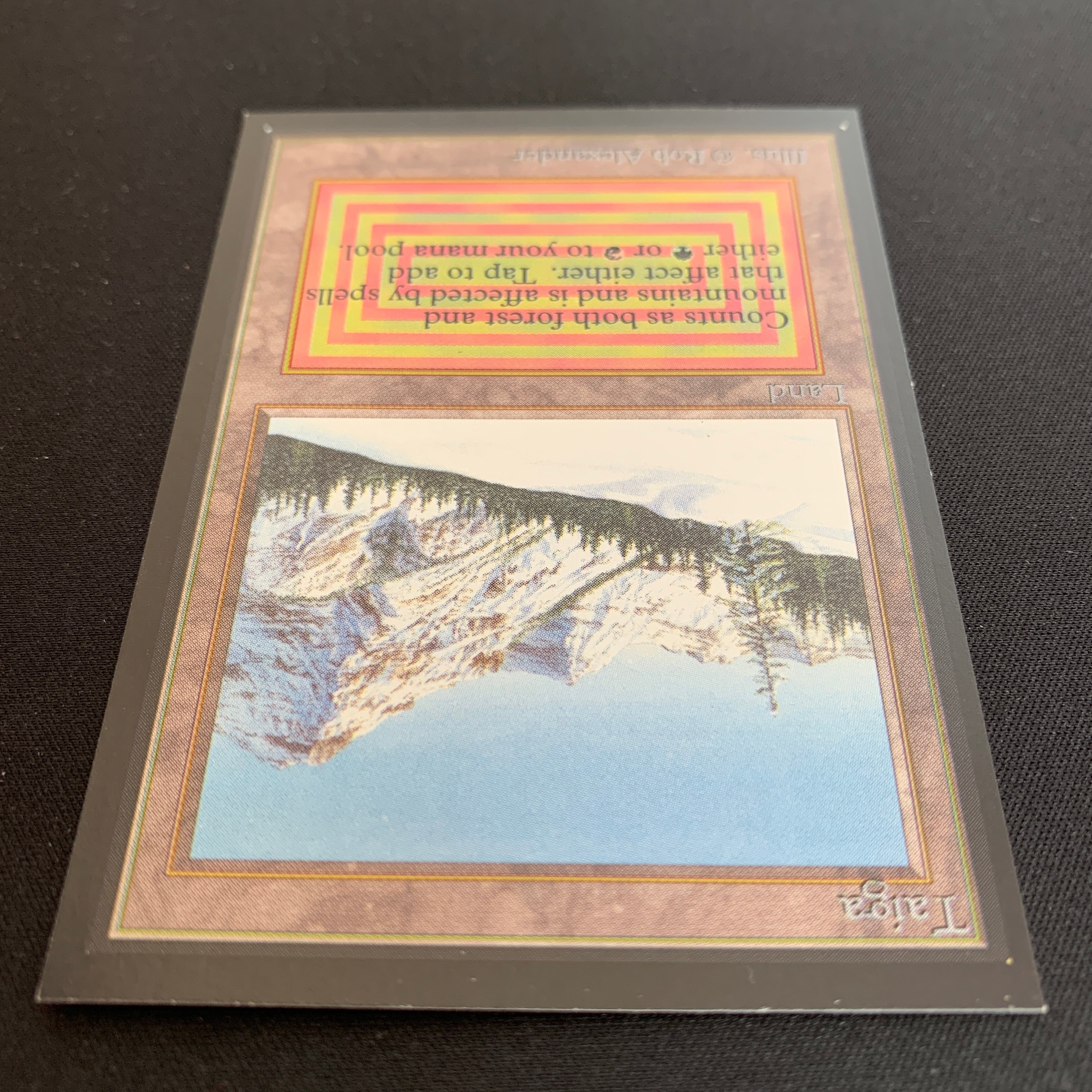 MTG Singles - Taiga - International Edition -