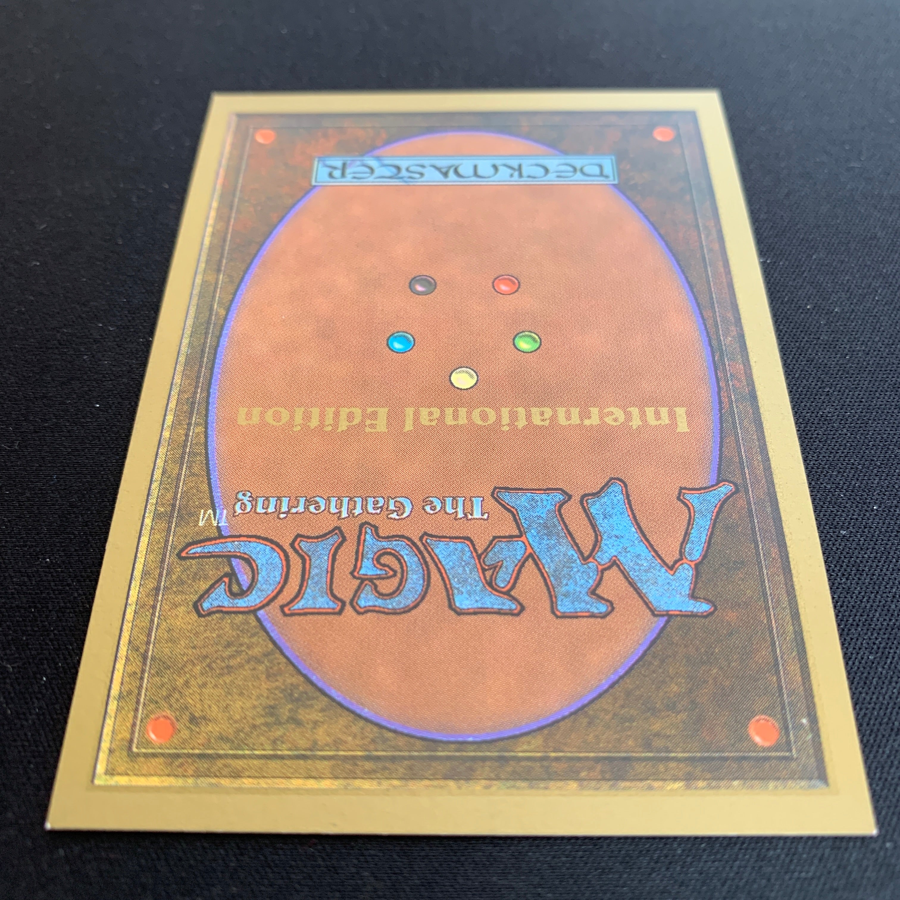 MTG Singles - Taiga - International Edition -