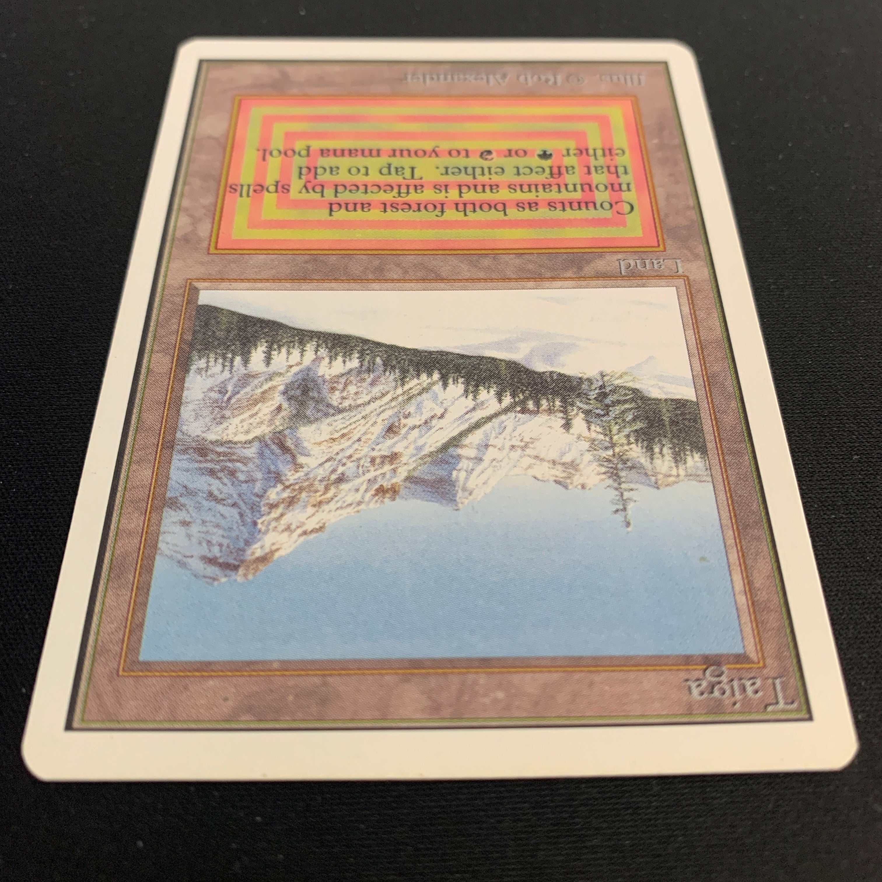 MTG Singles - Taiga - Unlimited -