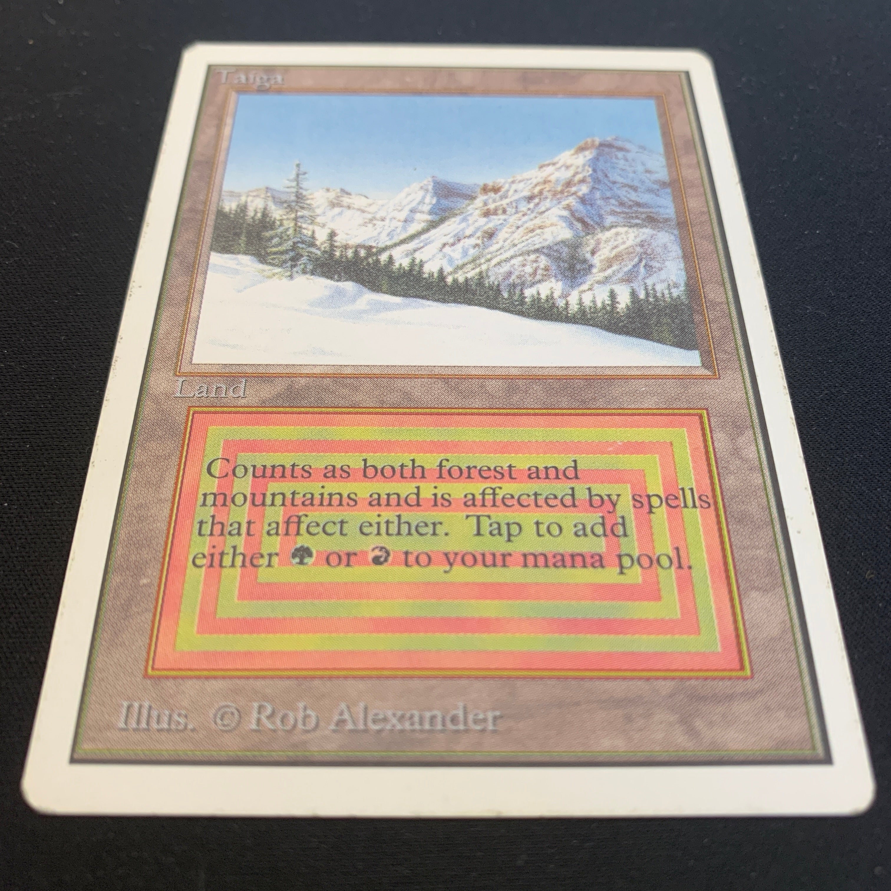 MTG Singles - Taiga - Unlimited -