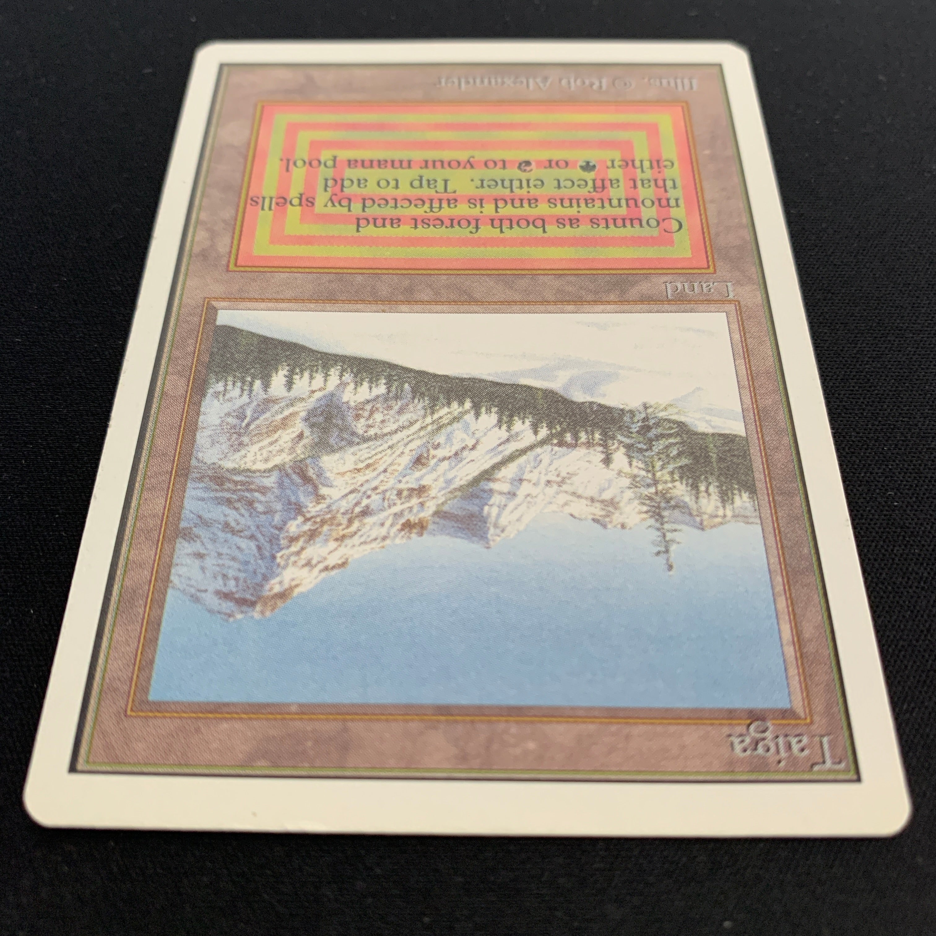 MTG Singles - Taiga - Unlimited -