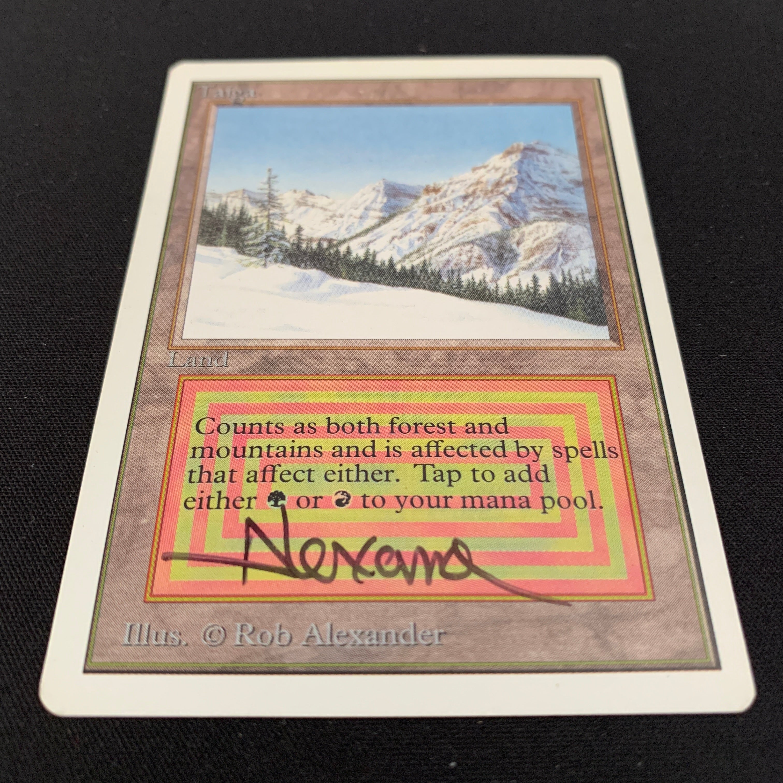 MTG Singles - Taiga - Unlimited -