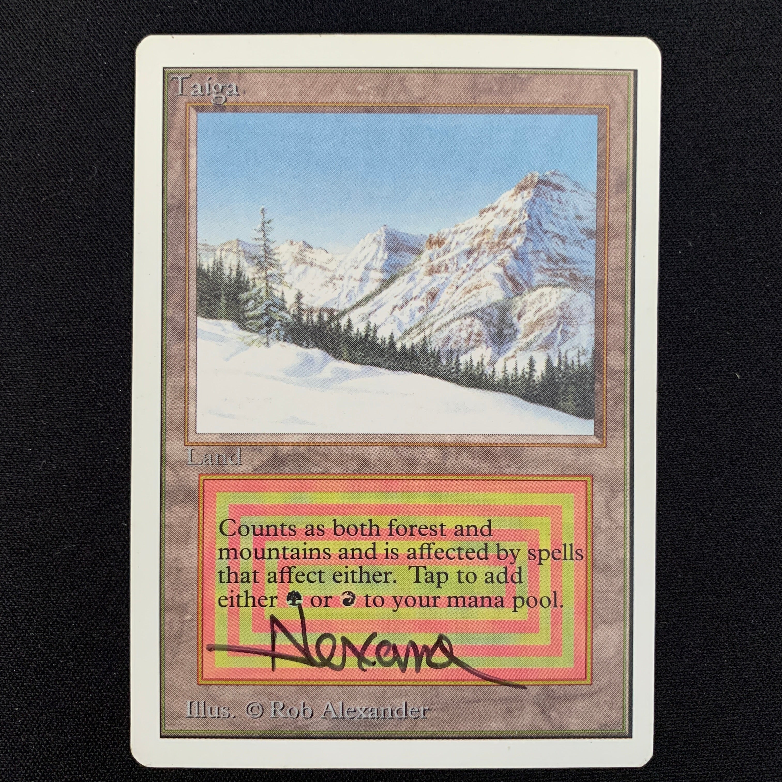 MTG Singles - Taiga - Unlimited -