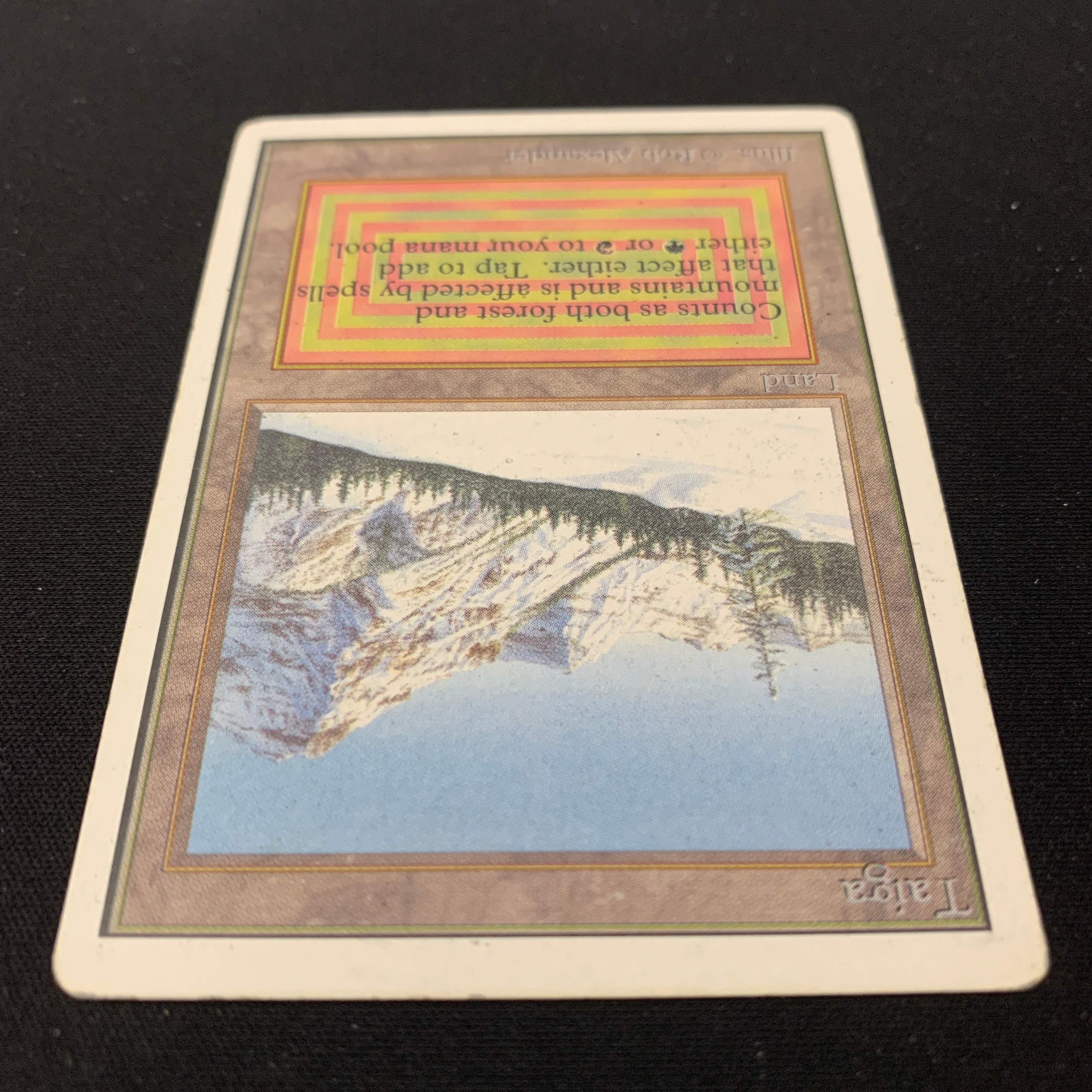 MTG Singles - Taiga - Unlimited -