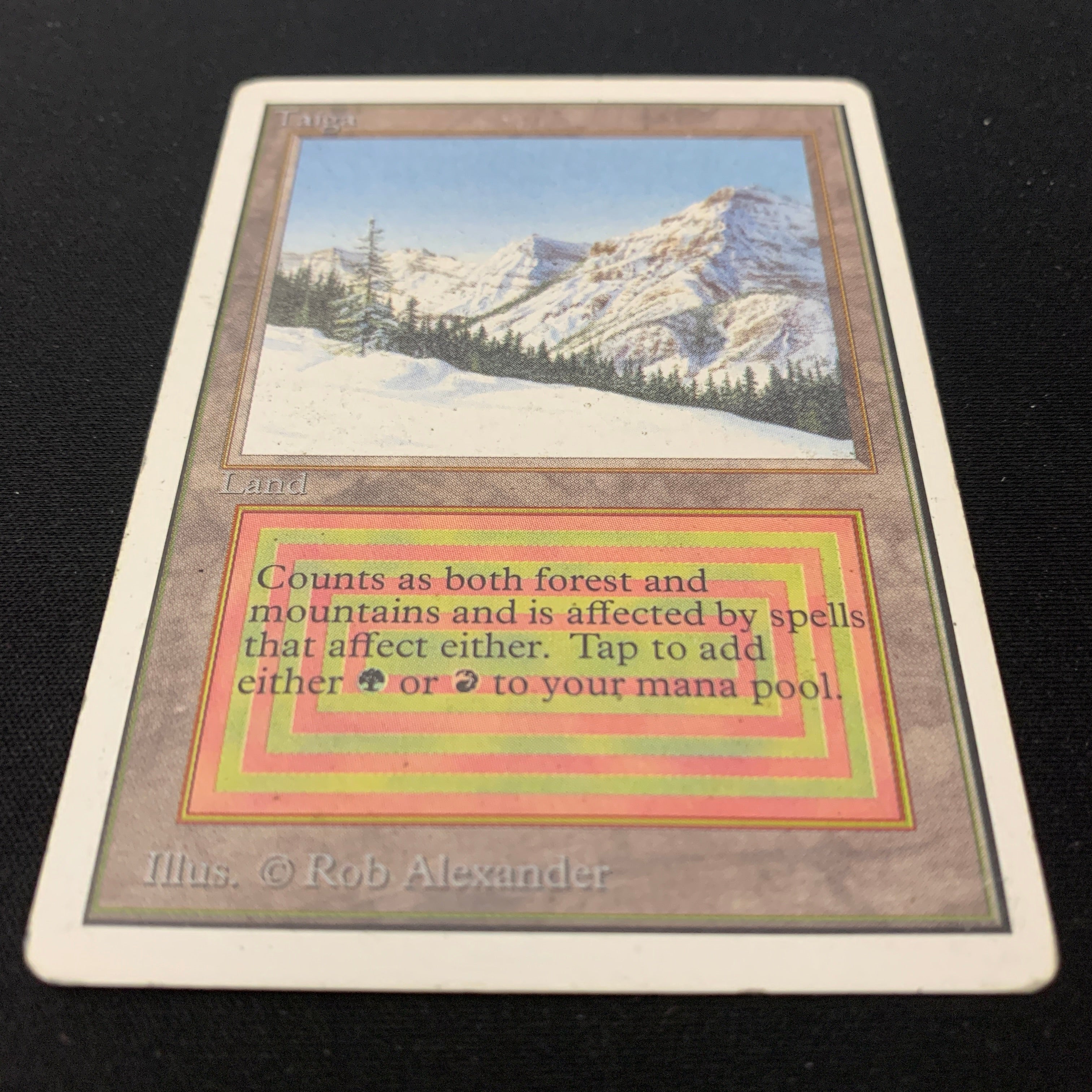 MTG Singles - Taiga - Unlimited -