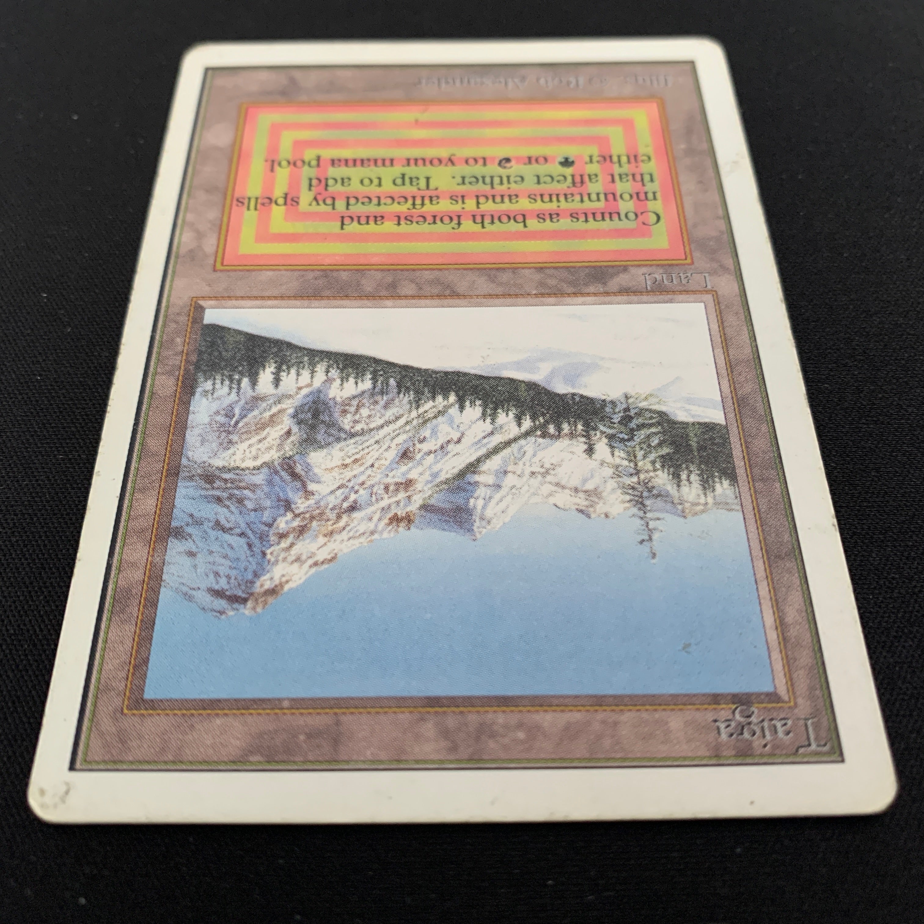 MTG Singles - Taiga - Unlimited -