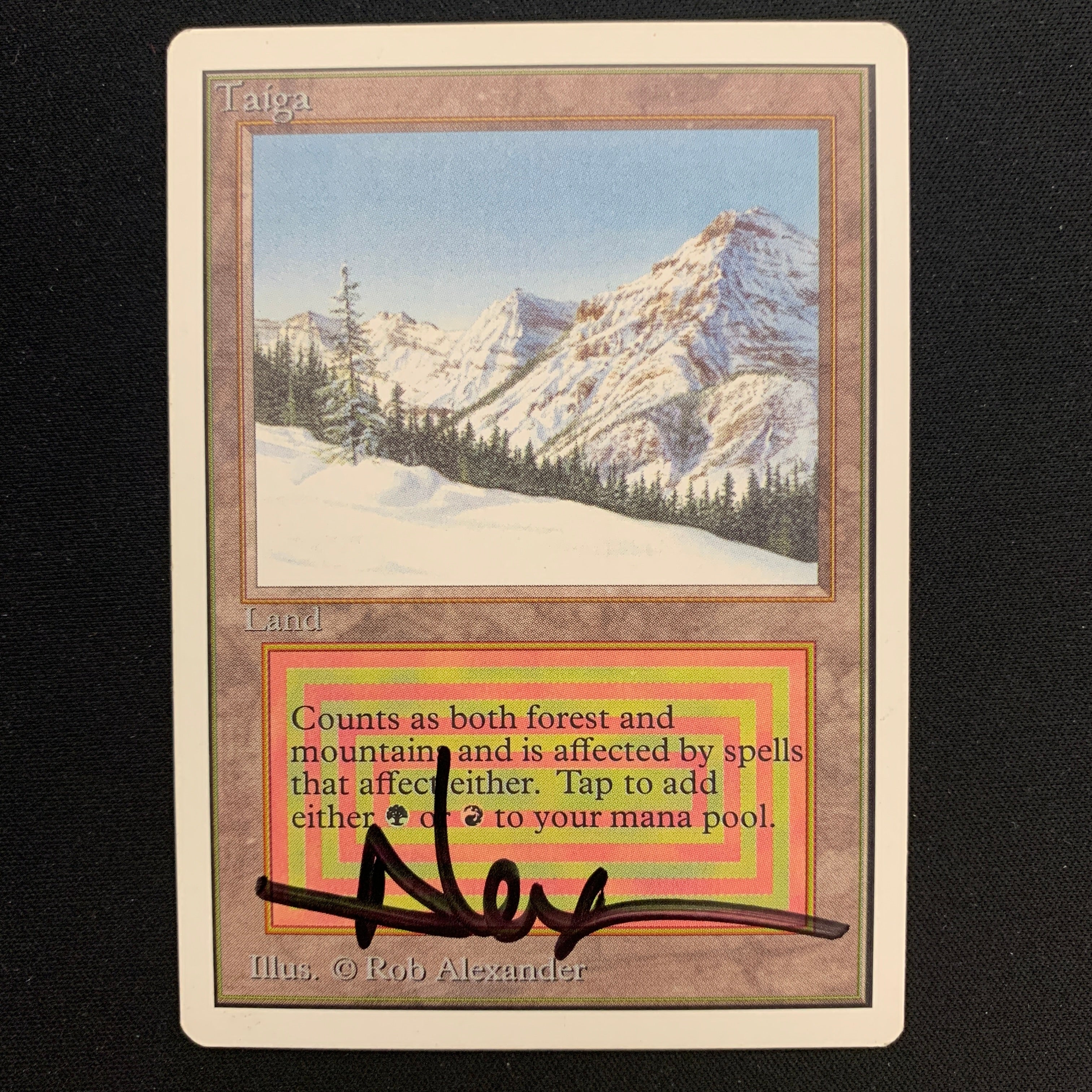 MTG Singles - Taiga - Unlimited -