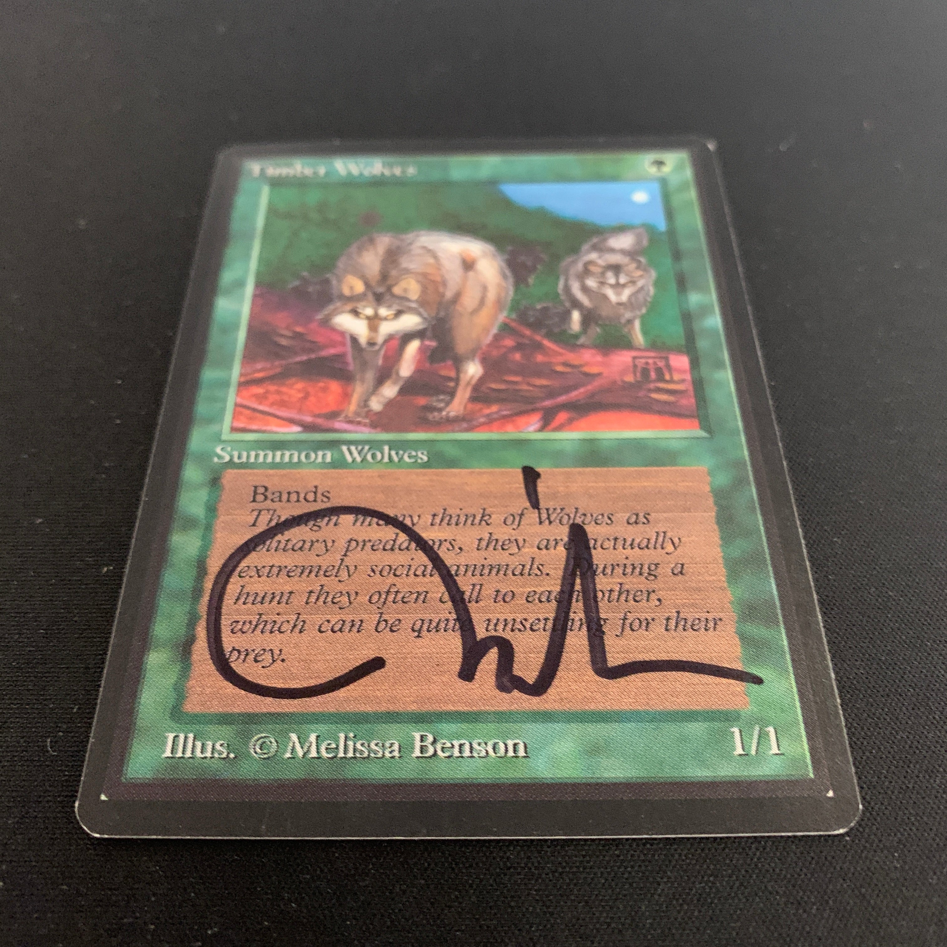 MTG Singles - Timber Wolves - Beta -