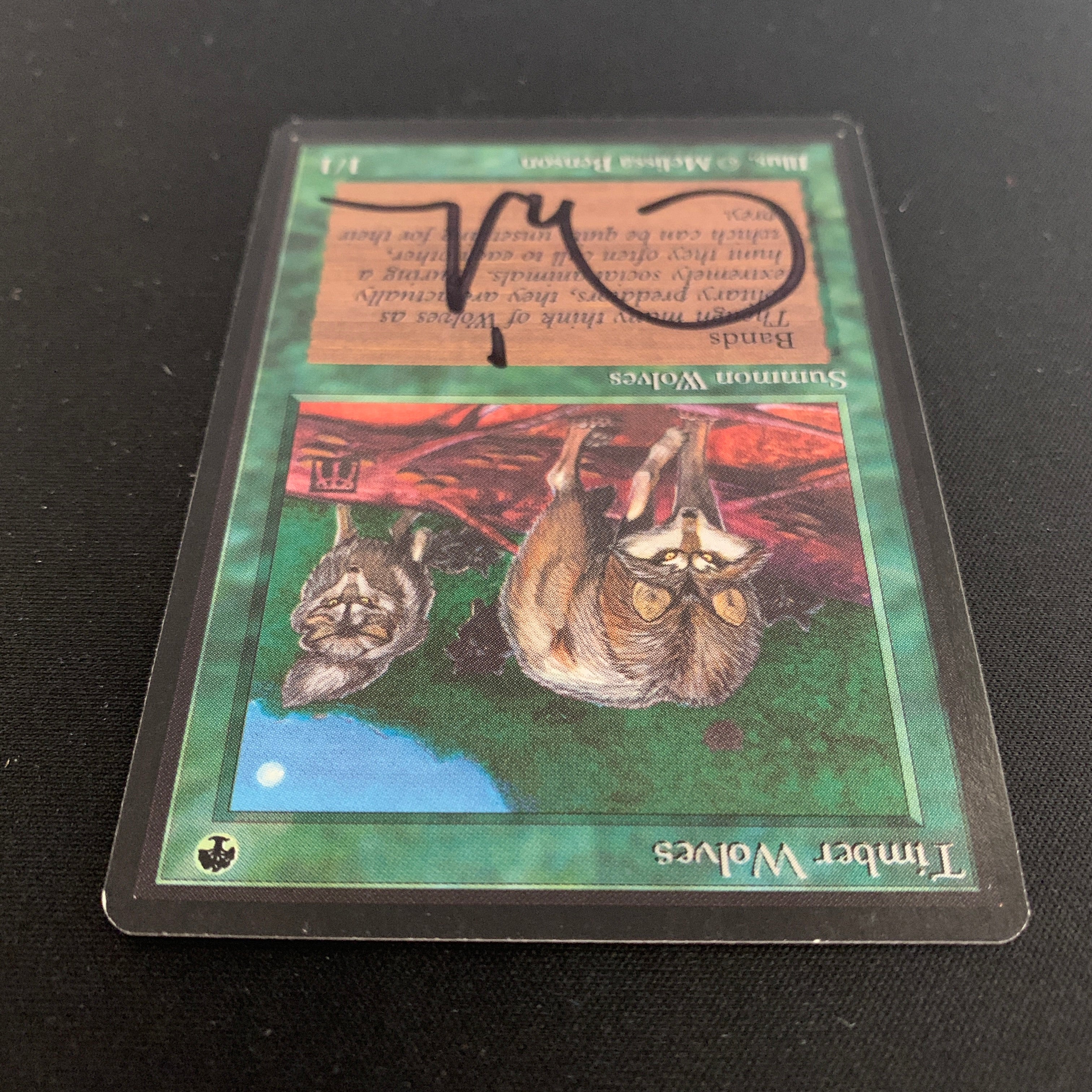 MTG Singles - Timber Wolves - Beta -