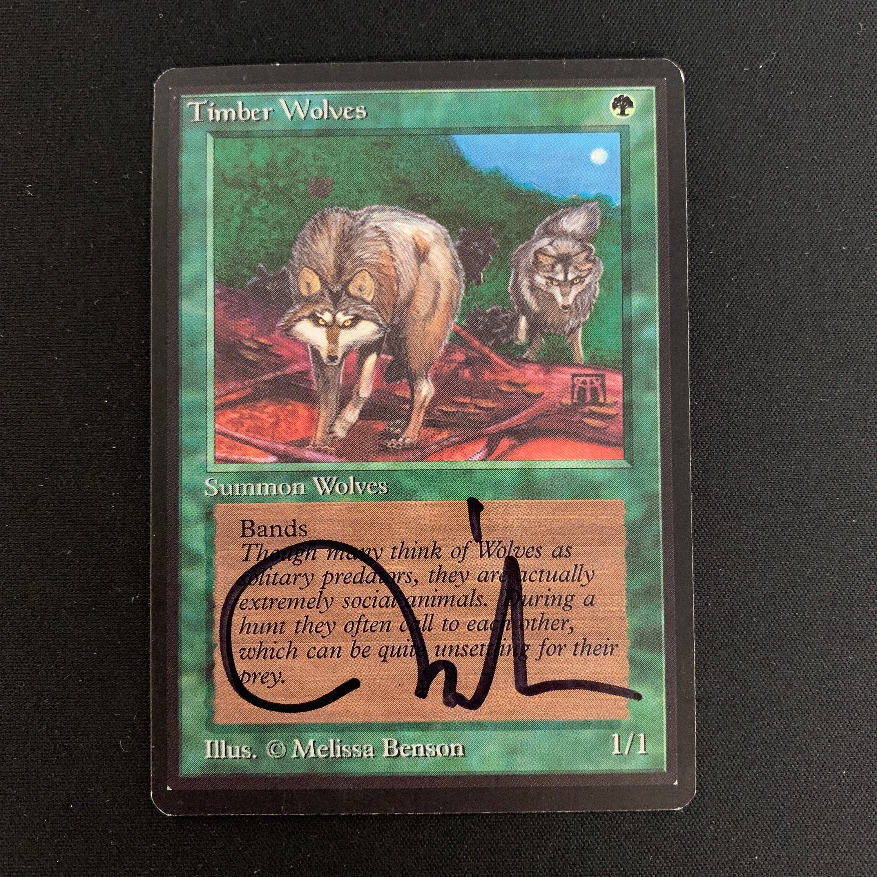 MTG Singles - Timber Wolves - Beta -