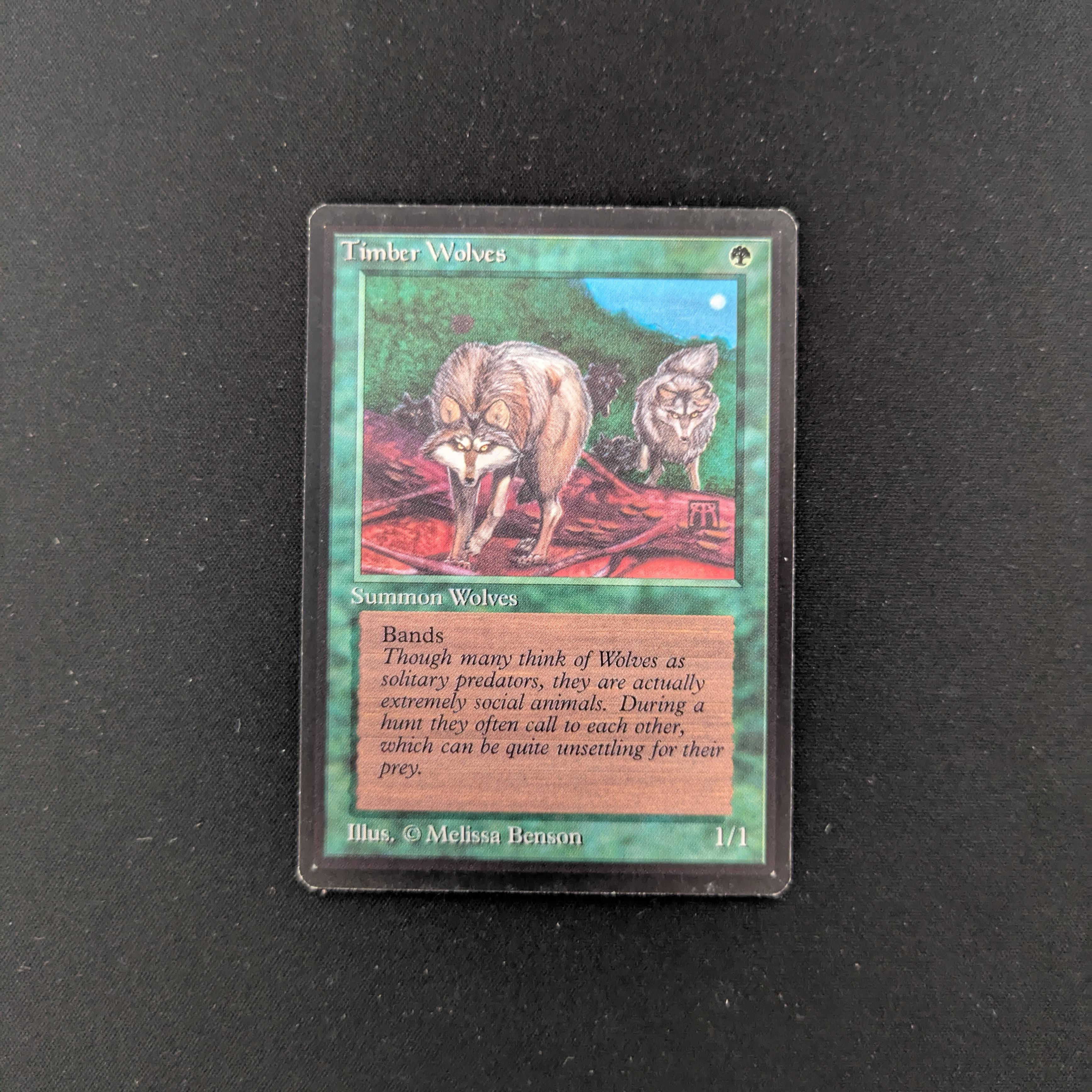MTG Singles - Timber Wolves - Beta -