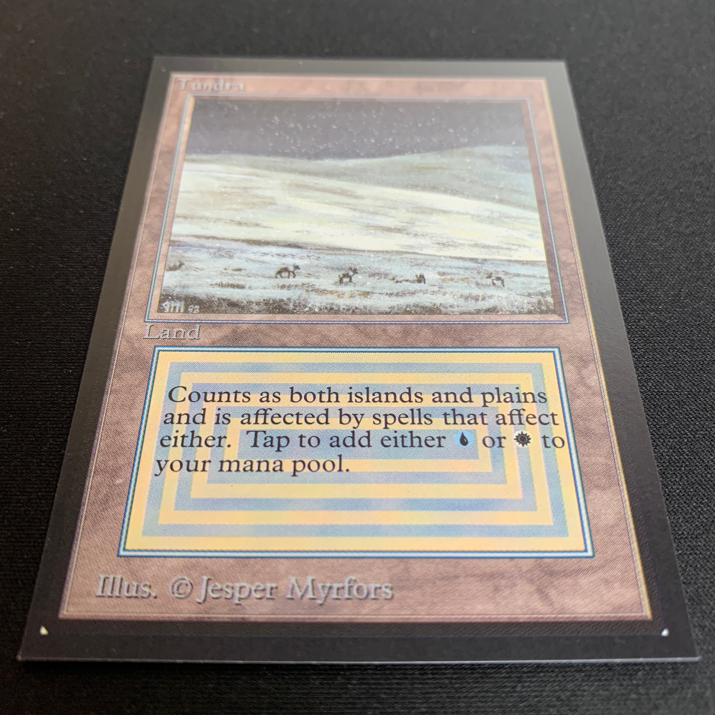 MTG Singles - Tundra - Collectors' Edition -
