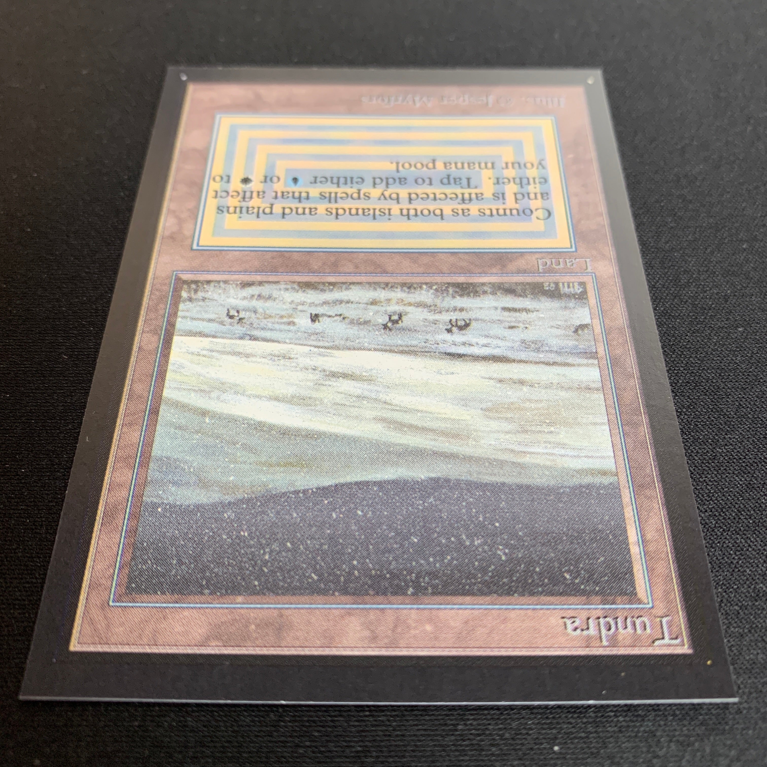 MTG Singles - Tundra - Collectors' Edition -